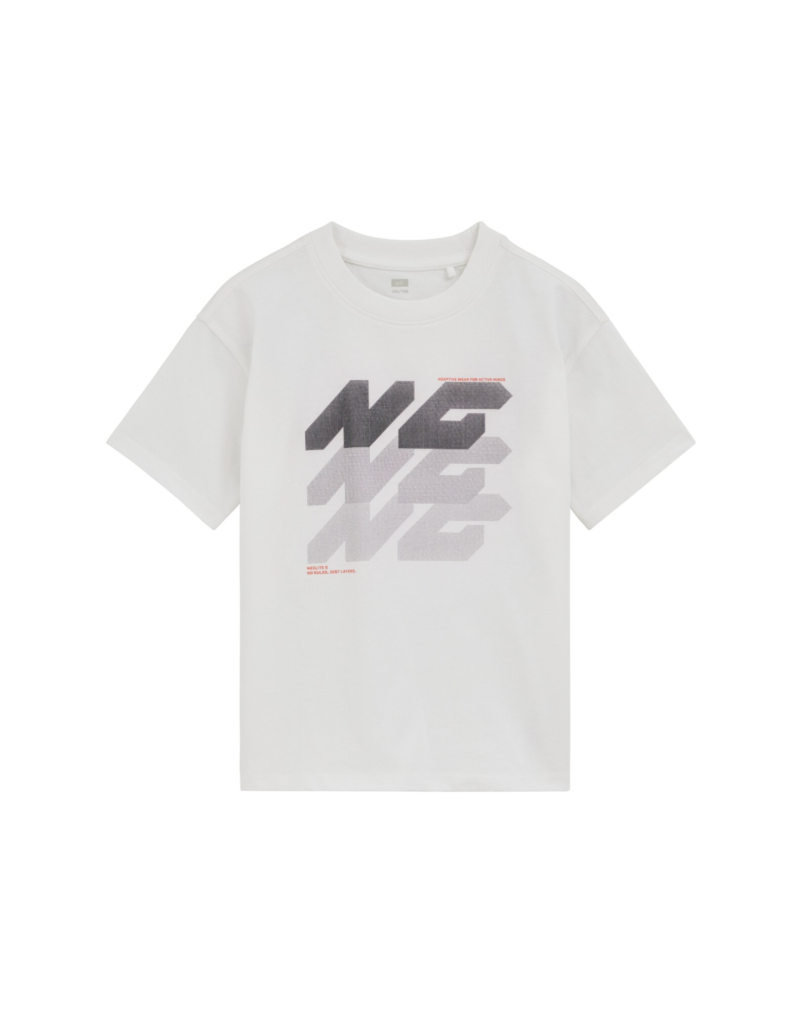 WE Fashion Tricou  gri metalic / gri deschis / alb