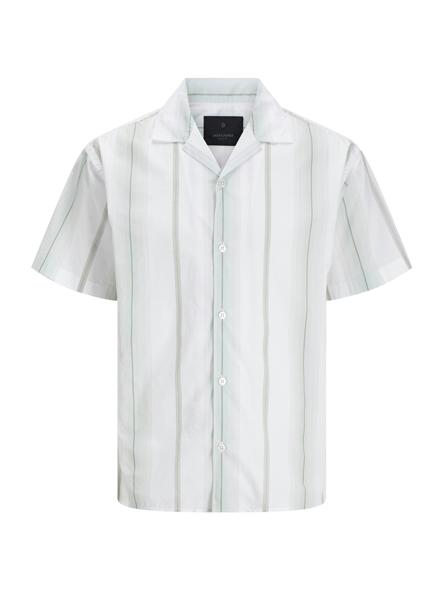 Jack & Jones Plus Ing 'JPRBLAPALERMO'  sötétszürke / pasztellzöld / fehér akciós termékkép 1
