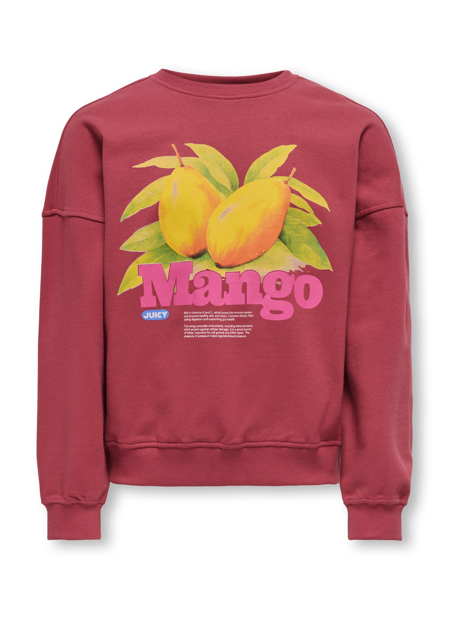 ONLY GIRLS Sudadera 'KOGPhilea'  limón / rojo vino / rojo violáceo / blanco