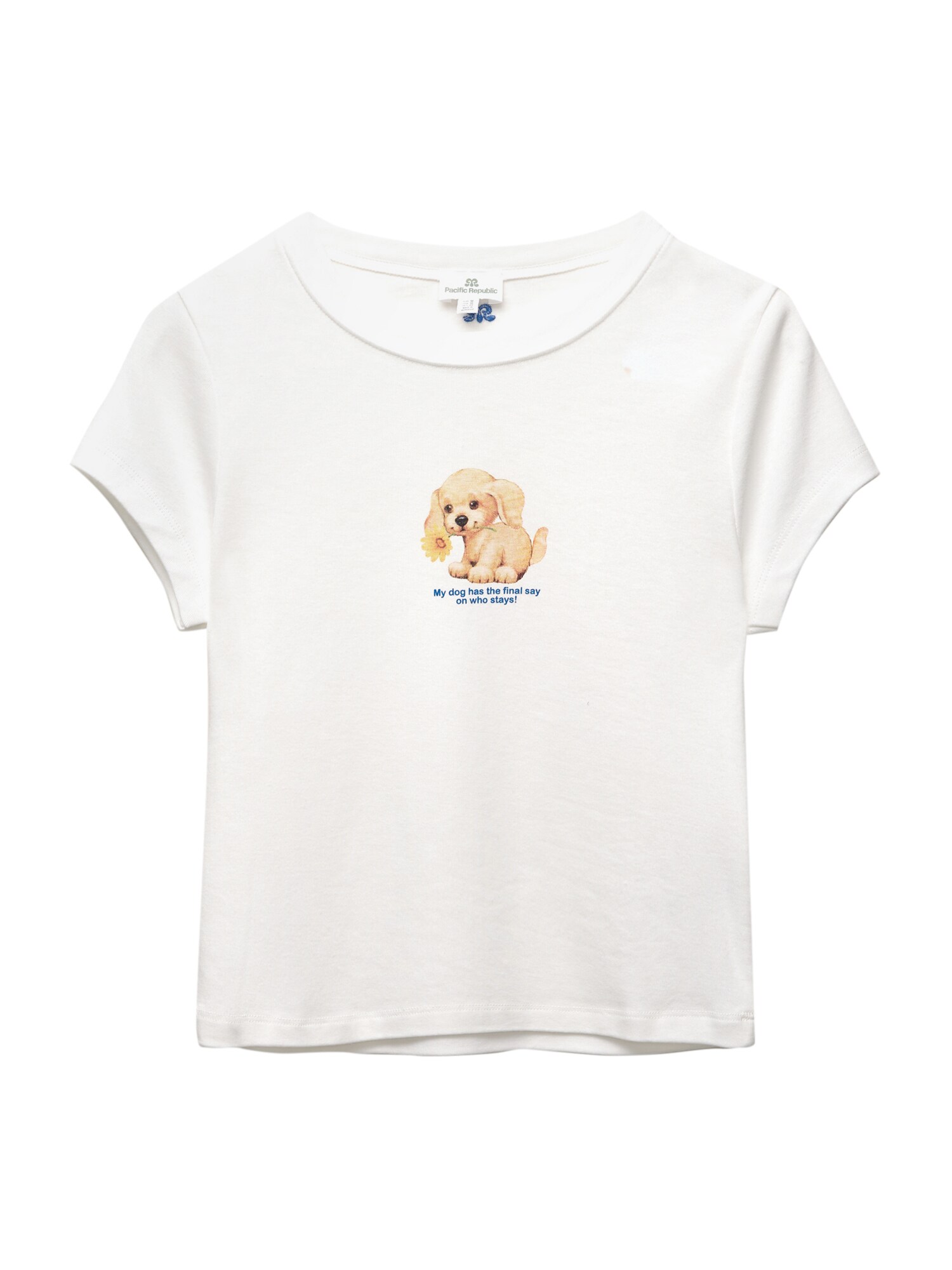 Pull&Bear Tricou PACIFIC  bej / albastru / alb