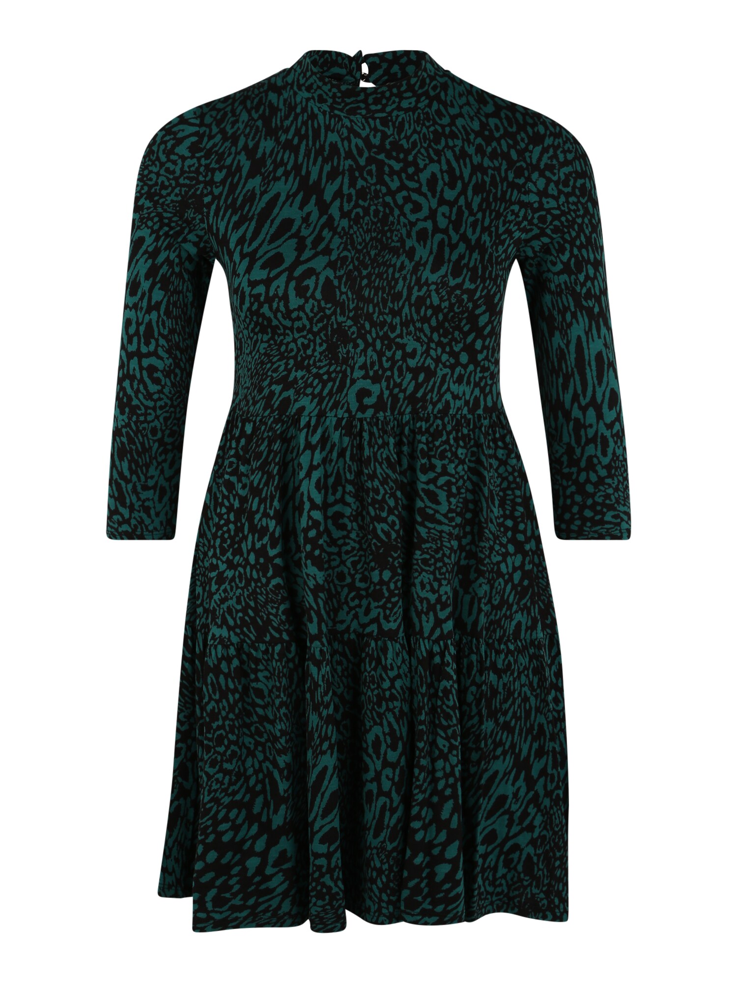 Dorothy Perkins (Petite) Suknelė  žalia / juoda