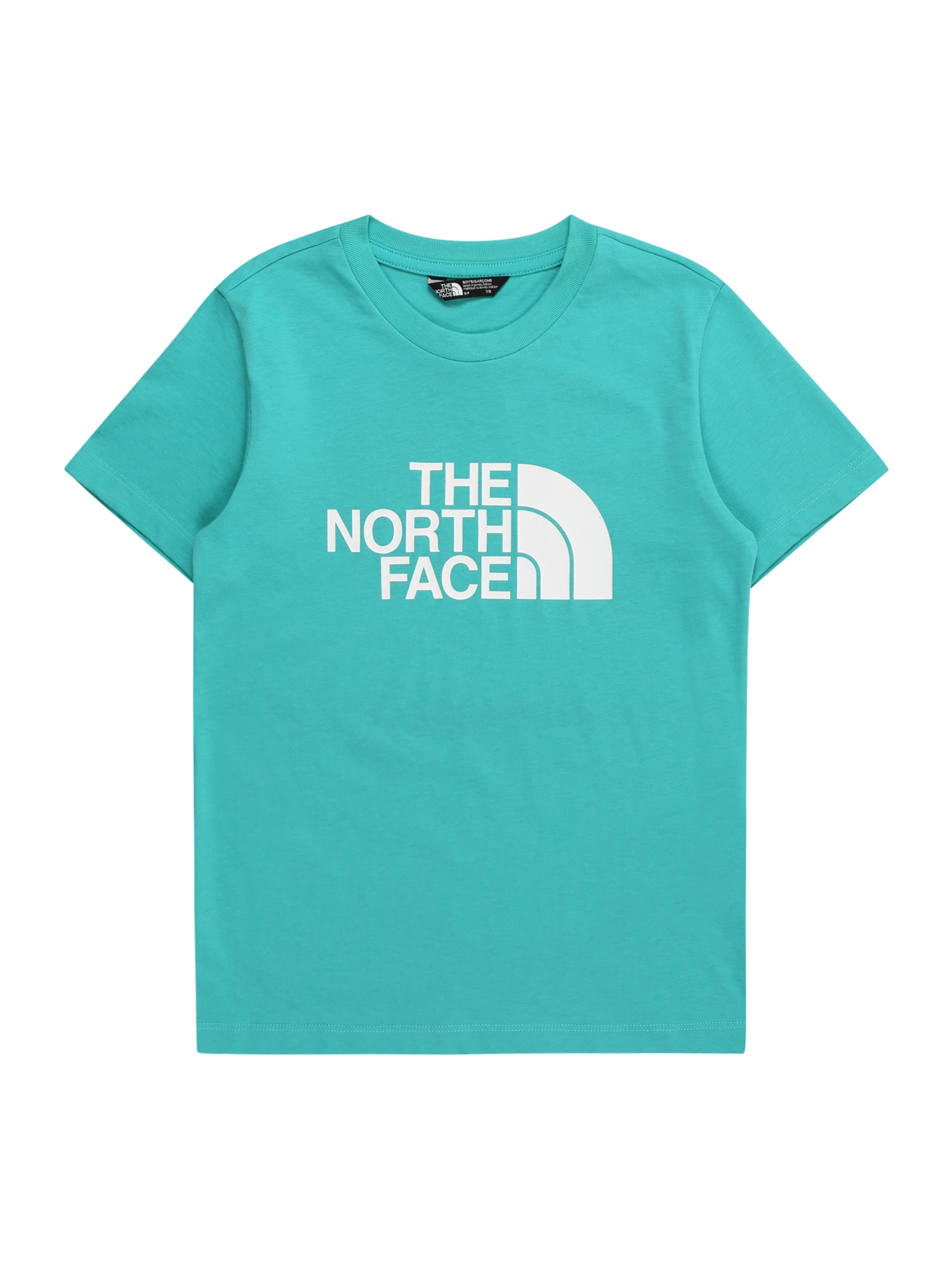 THE NORTH FACE Функционална тениска  тюркоазен / бяло