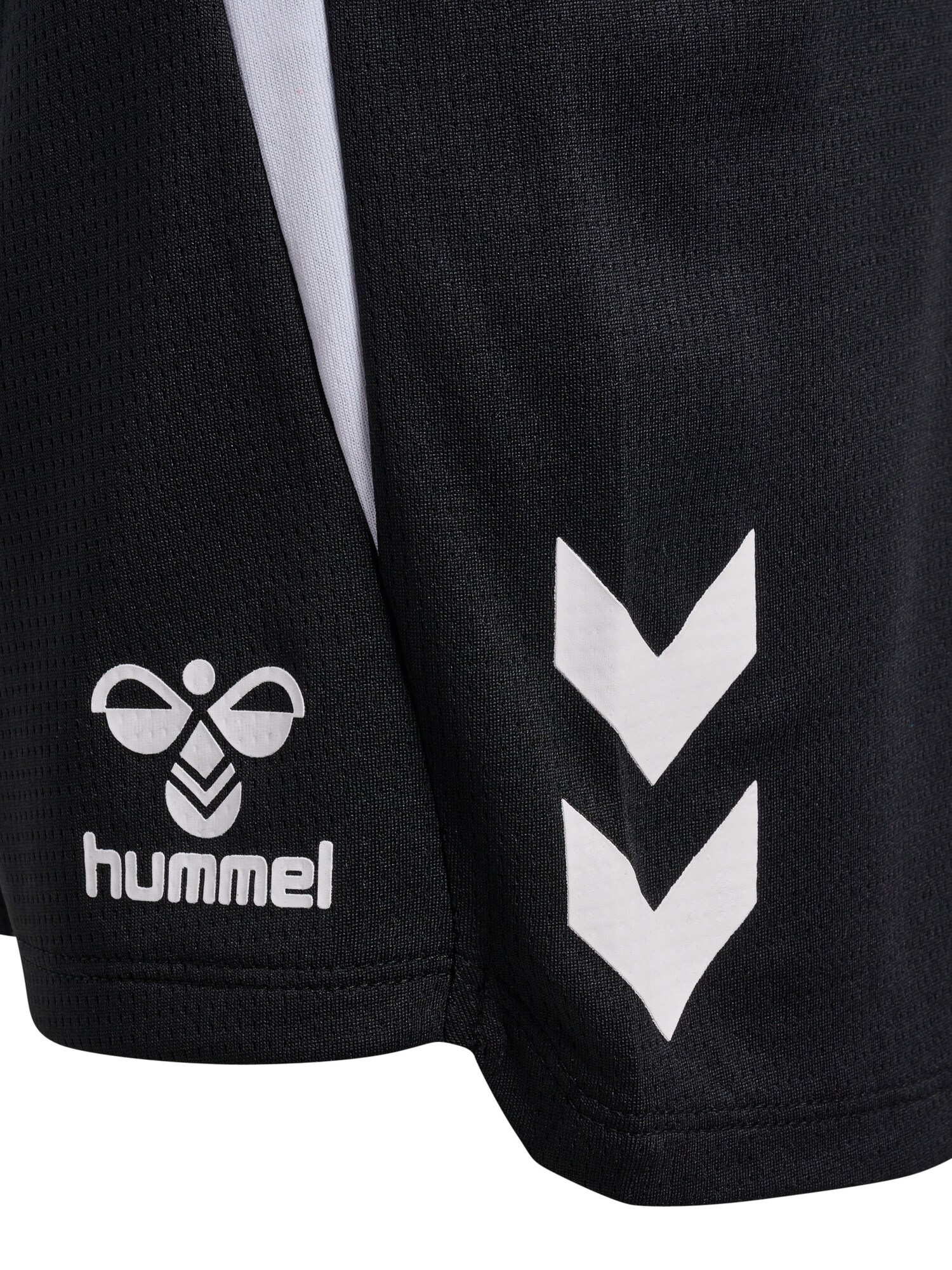 Thumbnail - Sportshorts 'Lead 2.0'