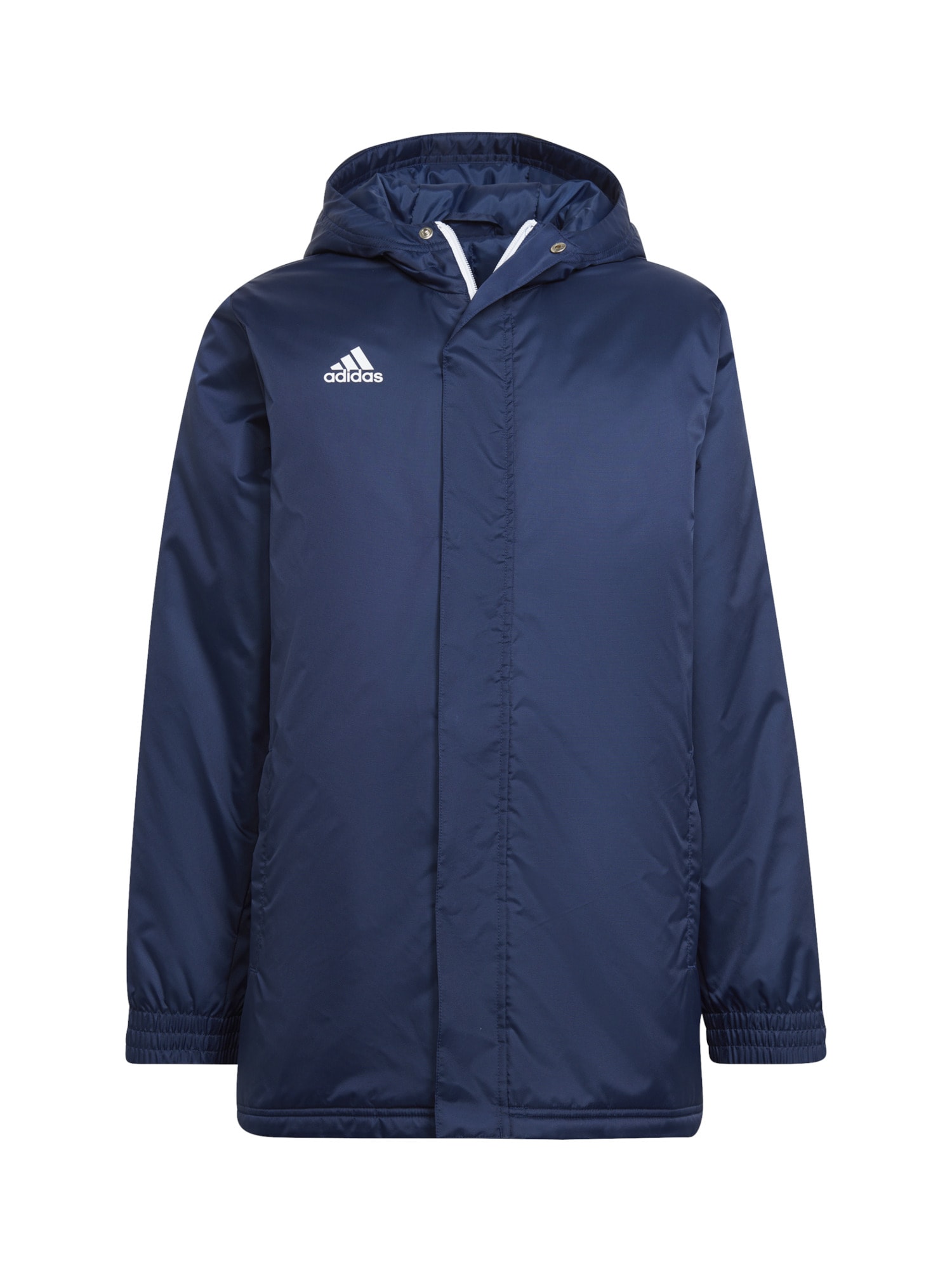 ADIDAS PERFORMANCE Geacă sport Entrada 22  albastru / alb