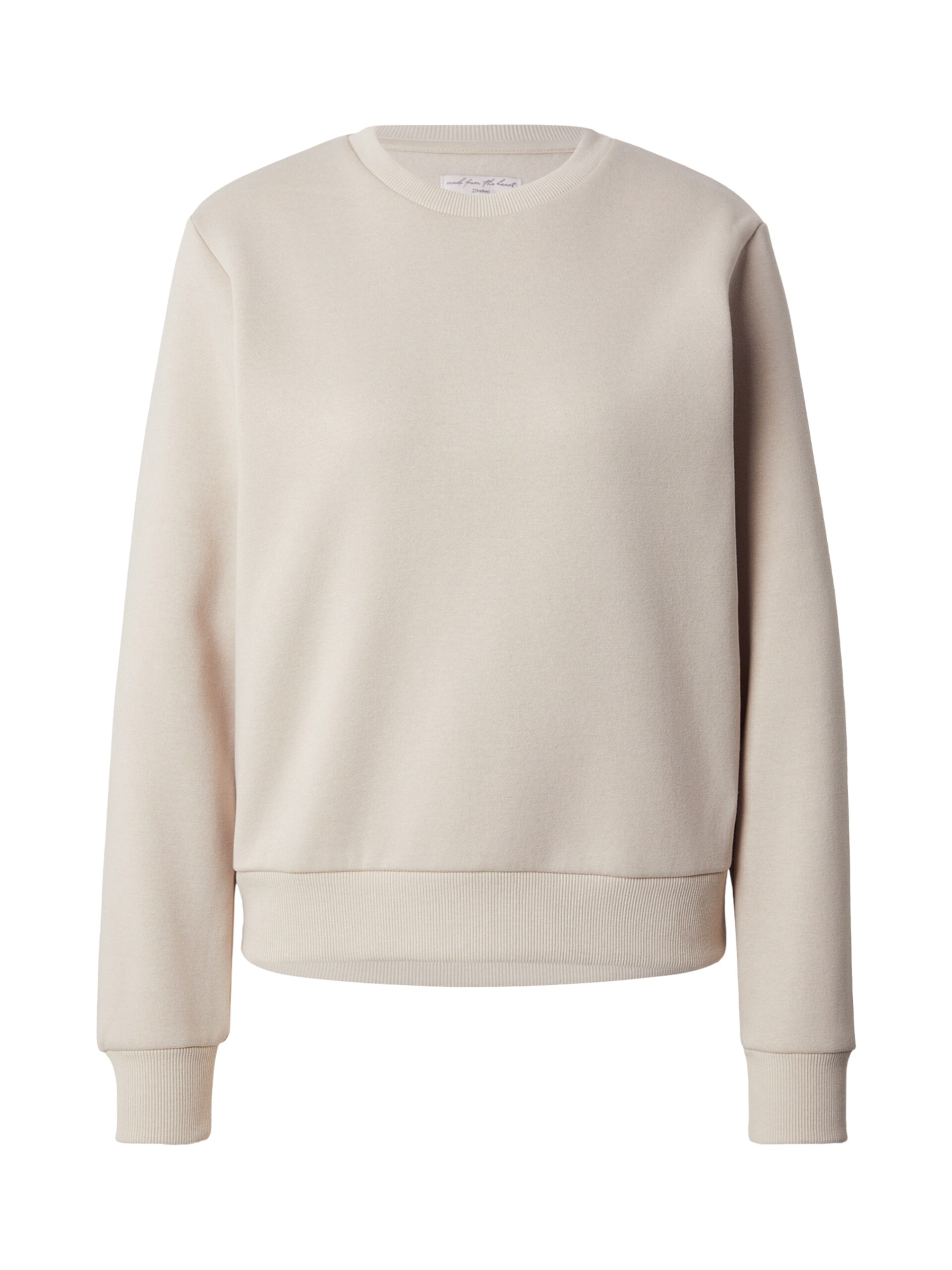 JJ Rebel Sweatshirt 'JREBWVERA' dam