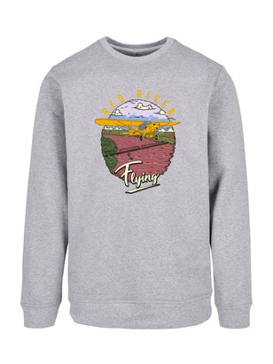 F4NT4STIC Sweatshirt ‘Red River Flying’ Grijs