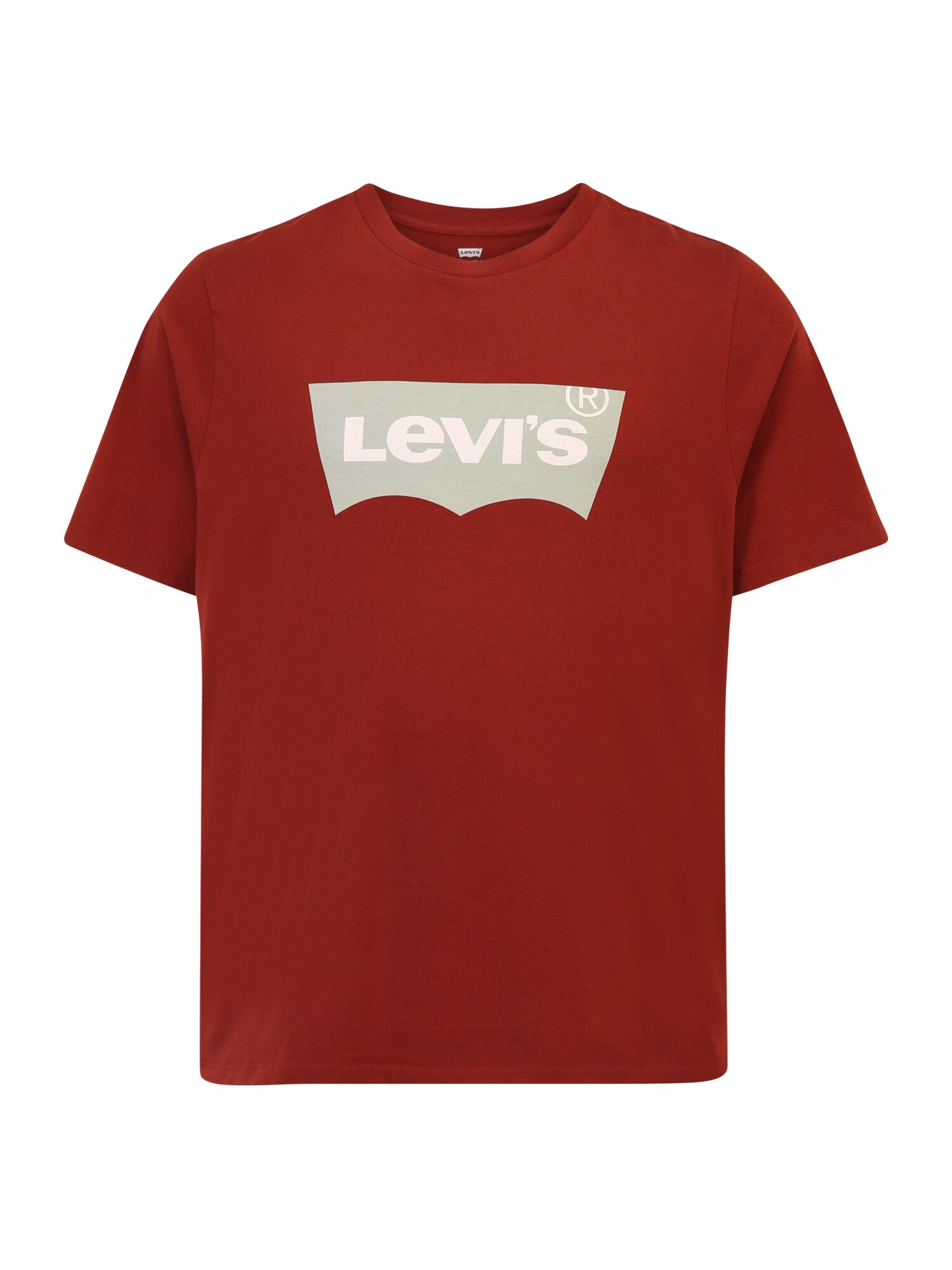 Levi's® Big & Tall Marškinėliai rūdžių raudona / balta / šviesiai pilka
