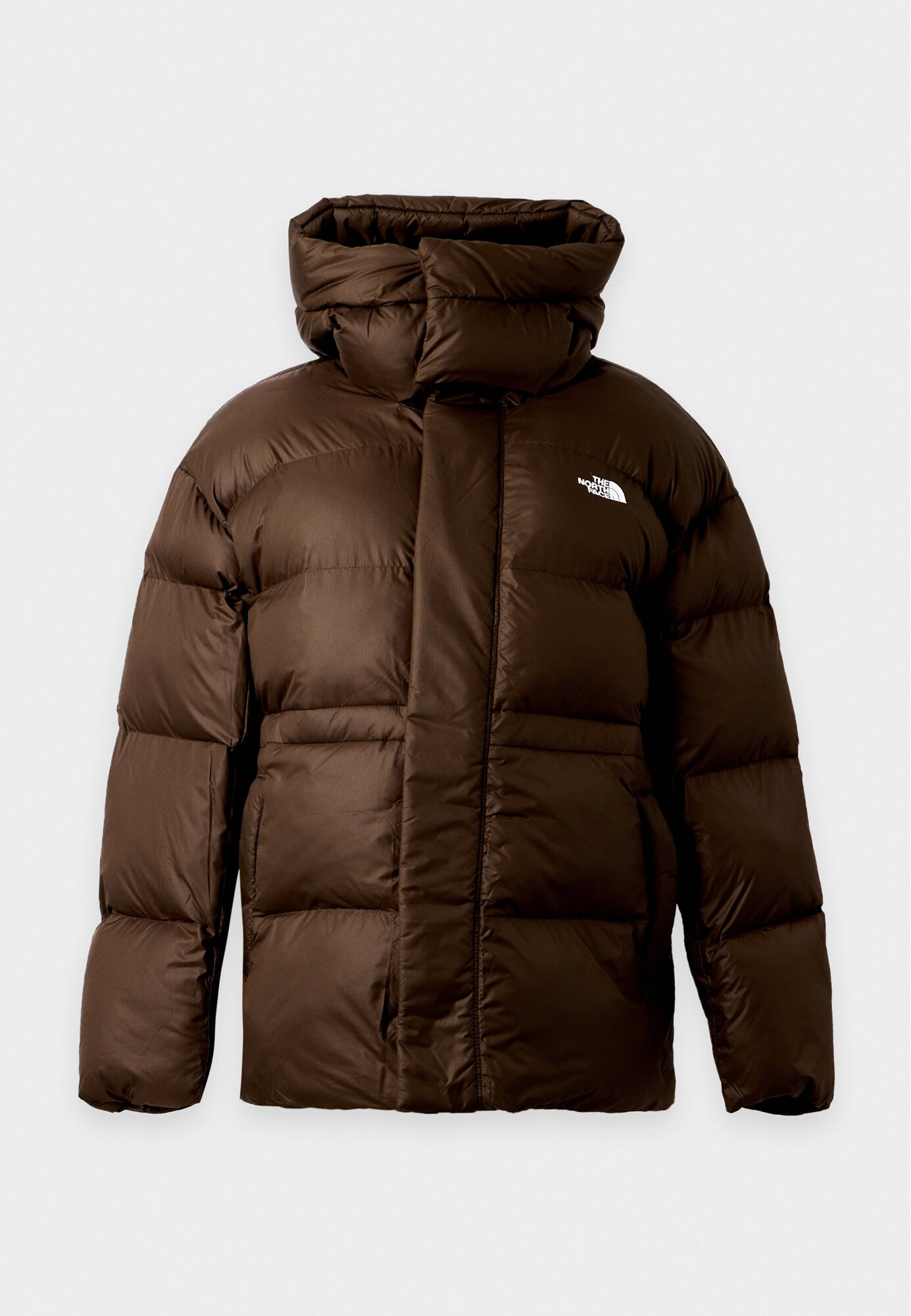 THE NORTH FACE Geacă de iarnă castaniu