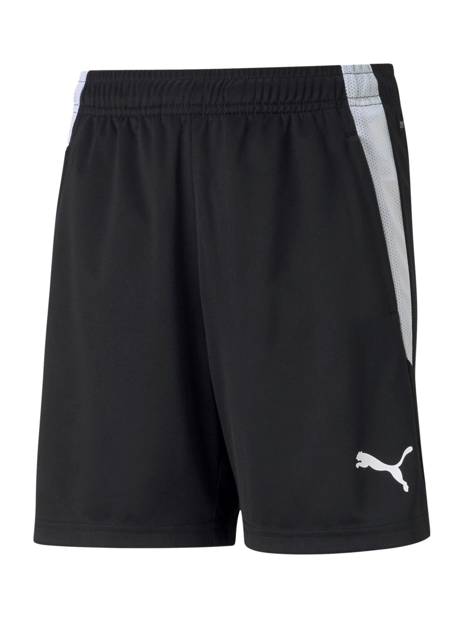 PUMA Pantaloni sport TeamLiga  negru / alb