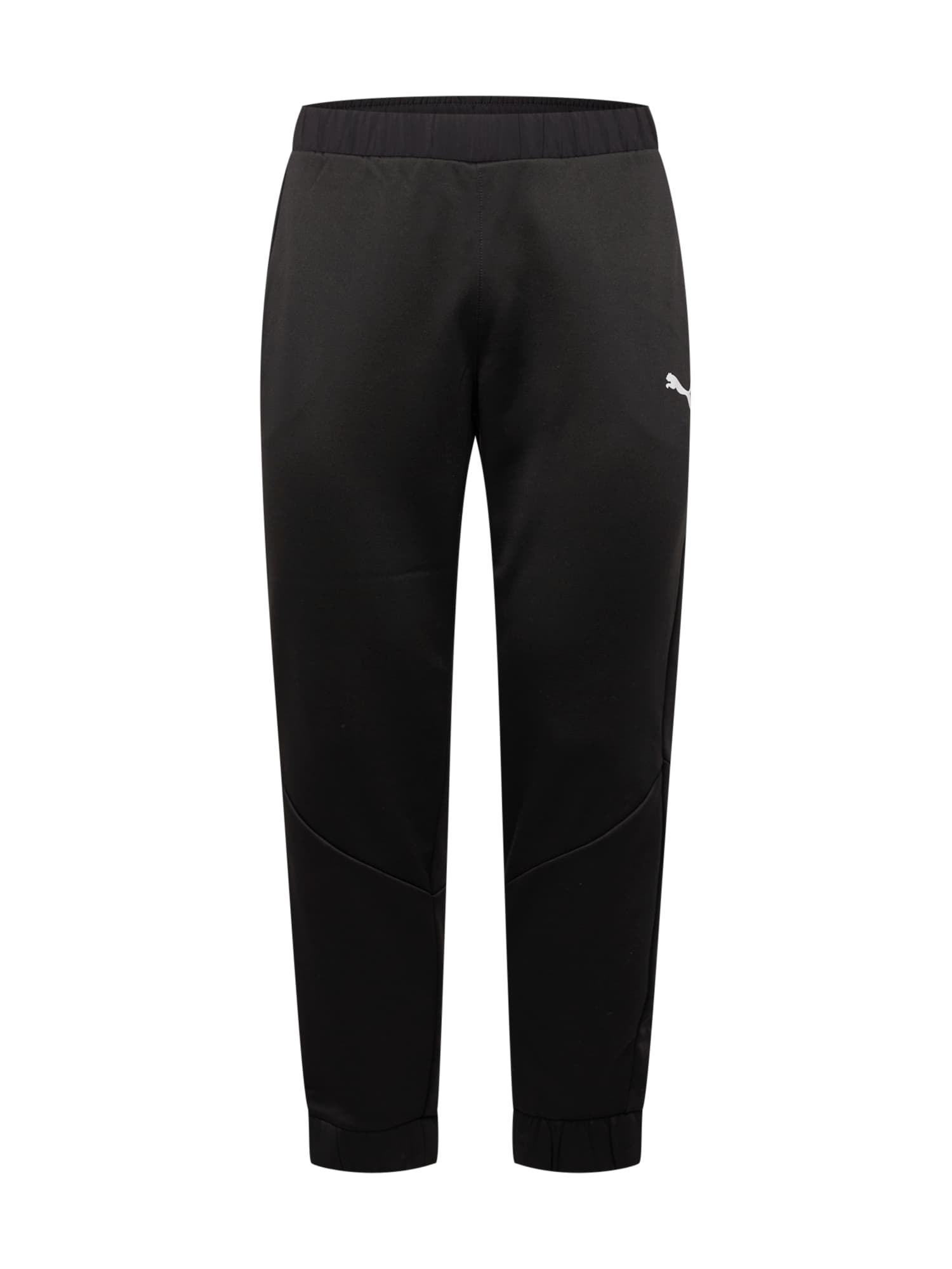 PUMA Sportske hlače 'Train All Day'  crna / bijela