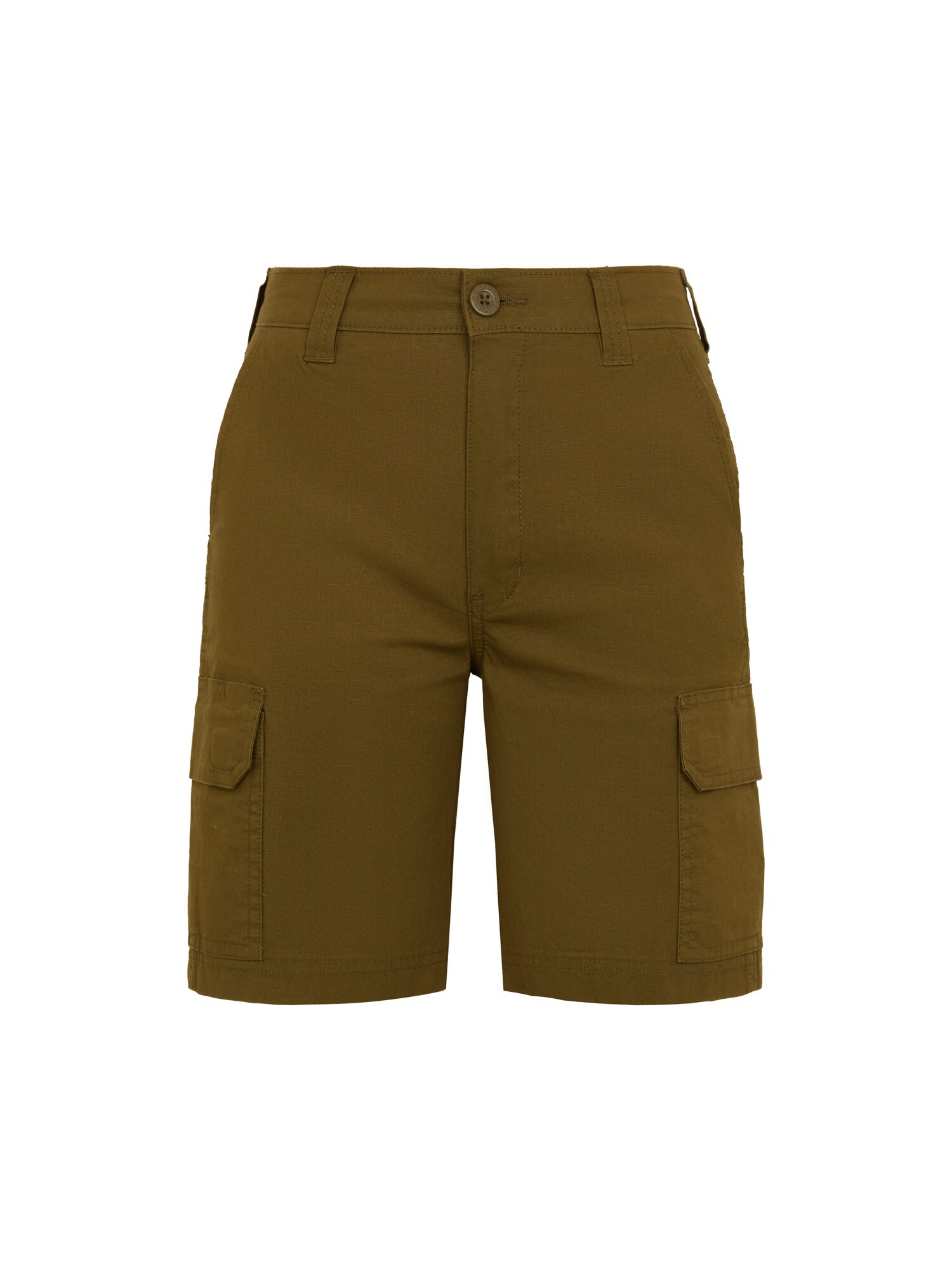 DICKIES Pantaloni  oliv