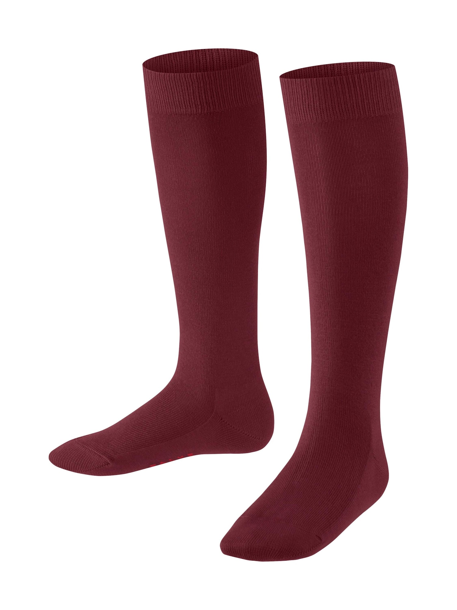 Falke Socken Family
