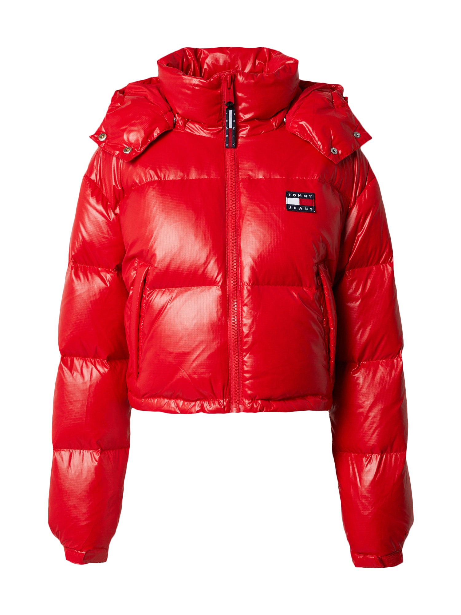 Tommy Jeans Zimska jakna 'Alaska'  mornarska / rdeča / bela