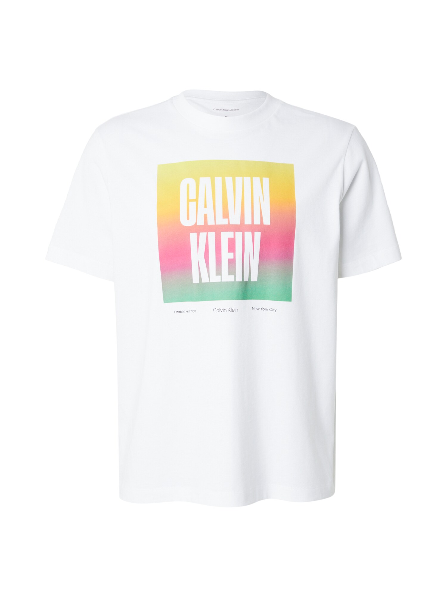 Calvin Klein Jeans Majica 'PRIDE26'  rumena / svetlo zelena / roza / bela