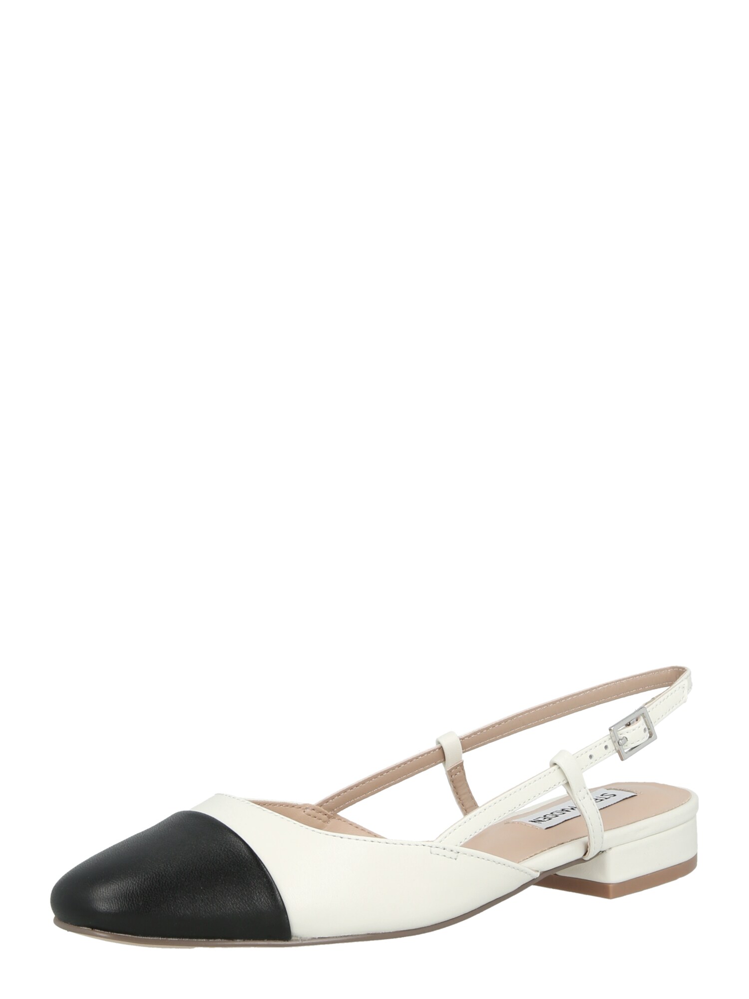 STEVE MADDEN Balerini BELINDA  negru / alb