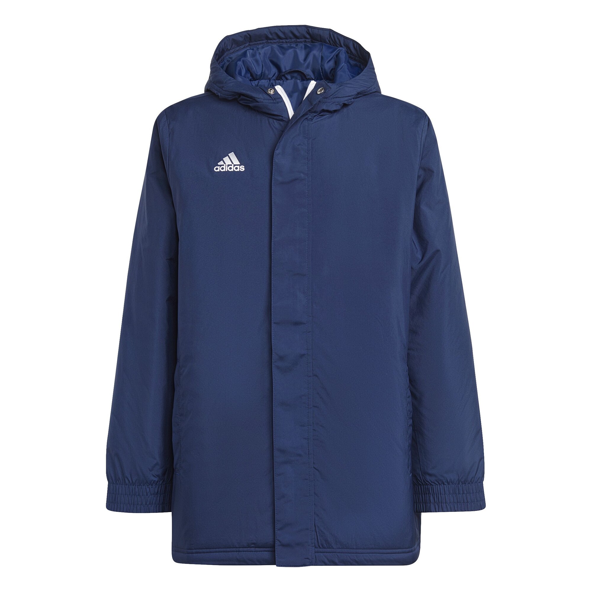 ADIDAS PERFORMANCE Geacă sport 'ENT22 STAD JKTY'  albastru