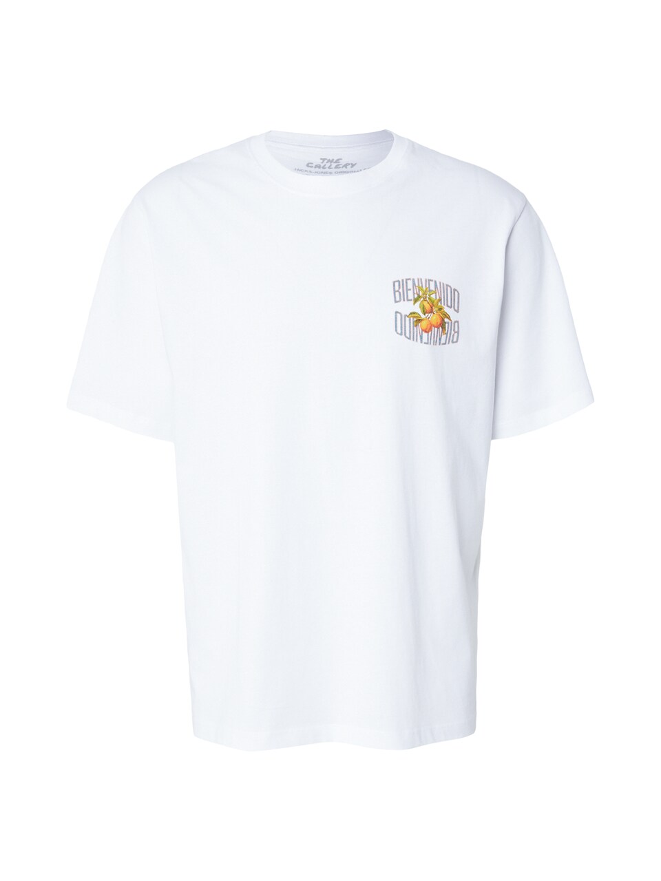 T-shirt 'JORVINTAGE FRUITS' ljusgrön / orange / korall