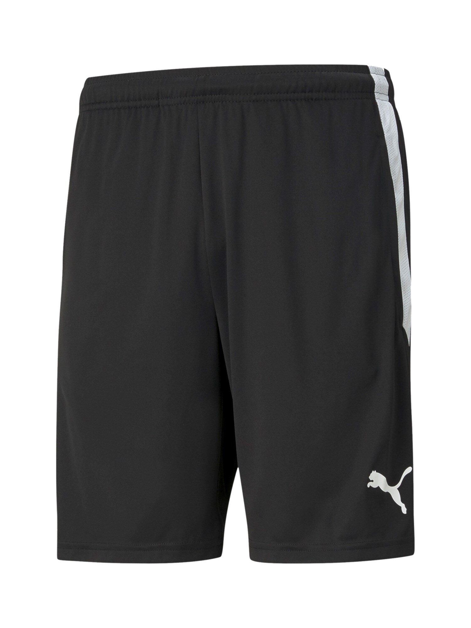PUMA Pantaloni sport TeamLiga  negru / alb