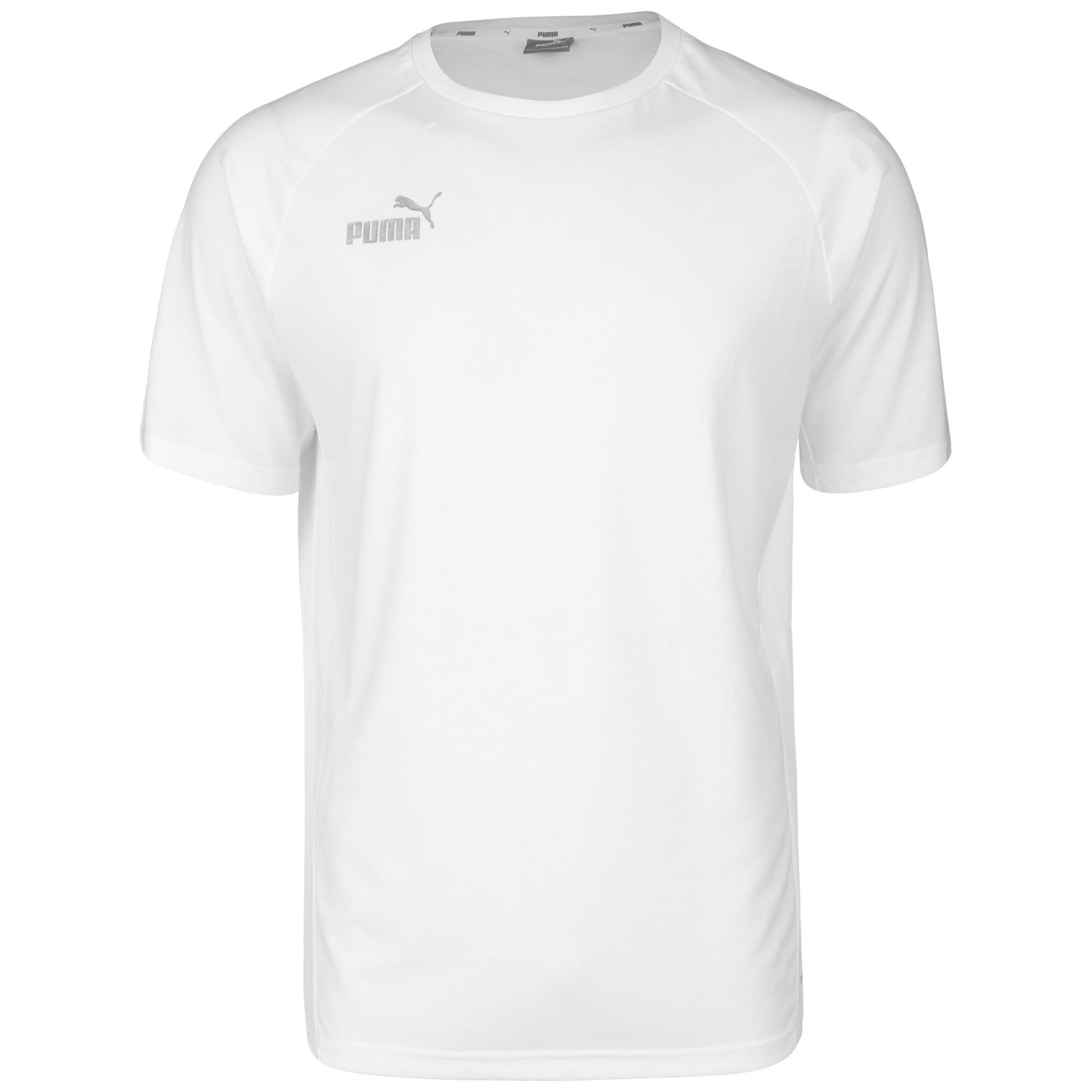 PUMA Camiseta funcional 'TeamFinal' gris claro / blanco