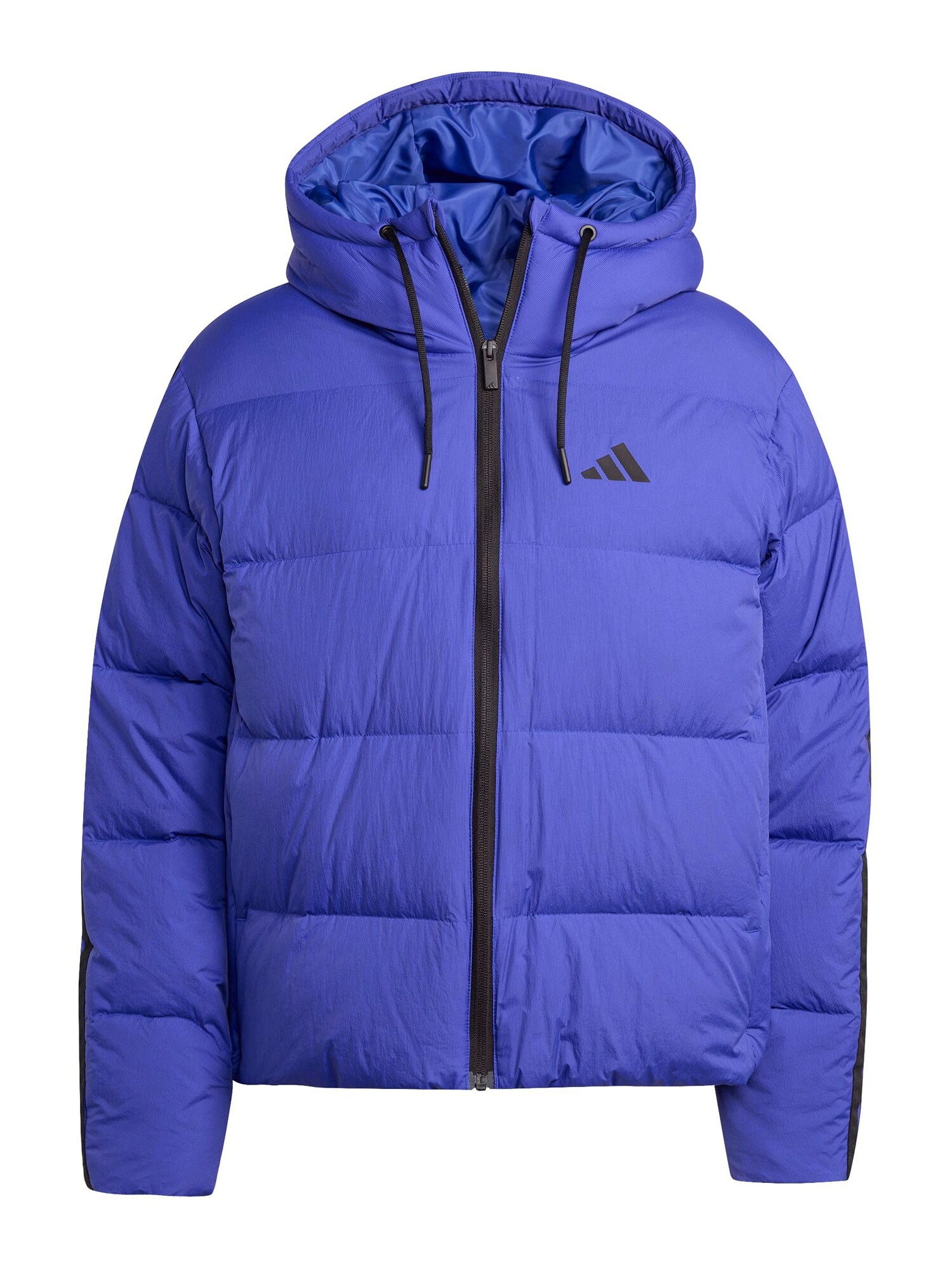 ADIDAS SPORTSWEAR Geacă outdoor ESS  albastru regal / negru
