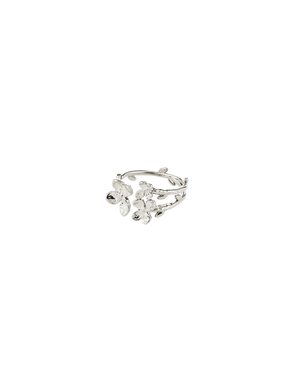 Ring 'Ajani'
