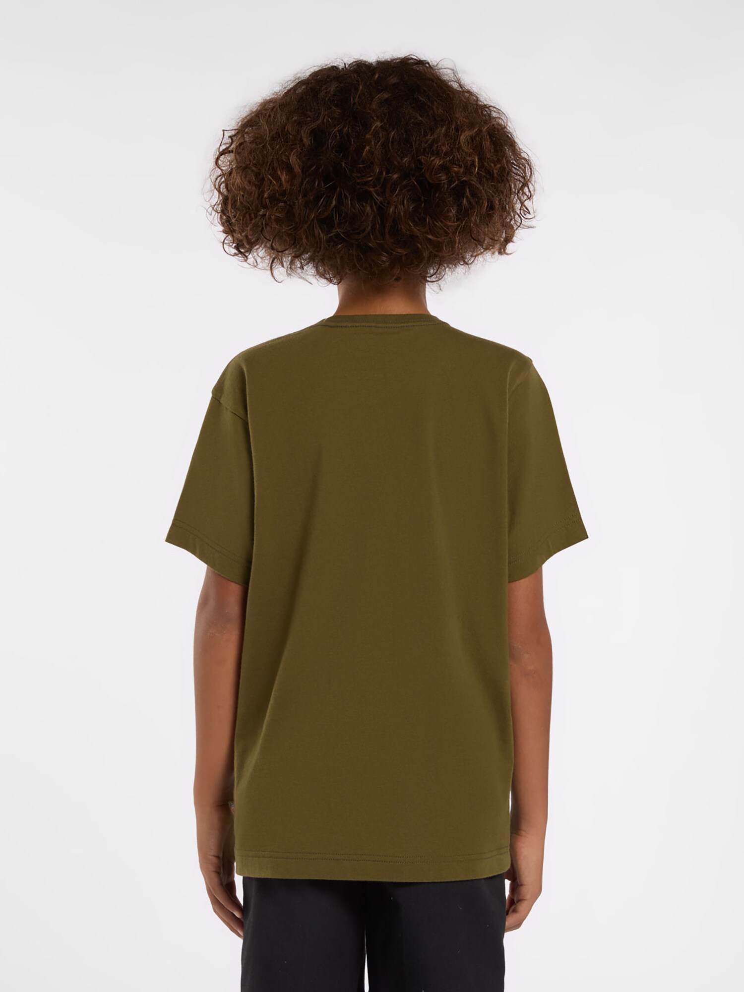 DICKIES Tričko 'MAPLETON' olivová (obrázok 6)