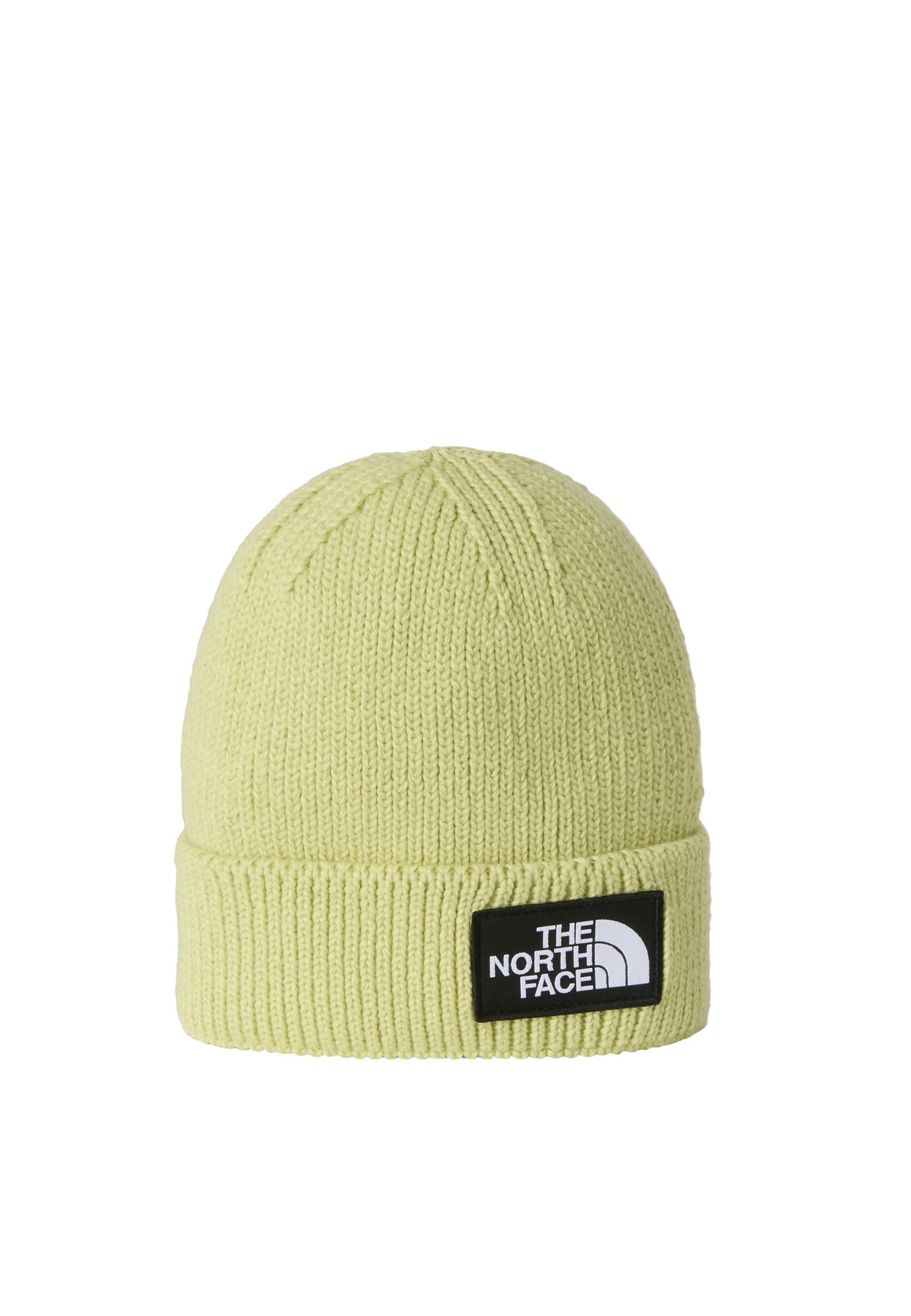 THE NORTH FACE Căciulă  verde pastel / negru / alb