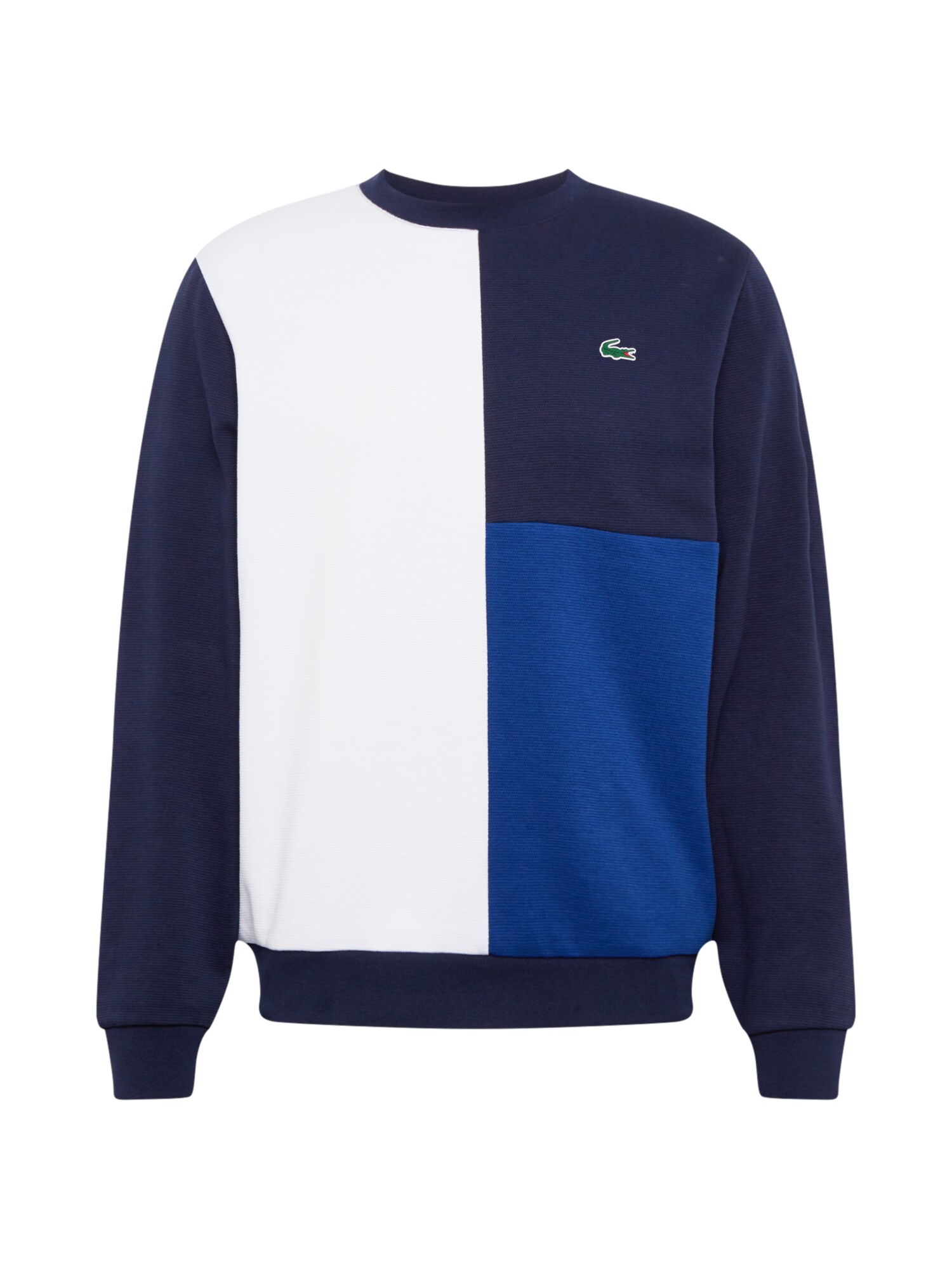 LACOSTE Megztinis  tamsiai mėlyna / sodri mėlyna („karališka“) / balta