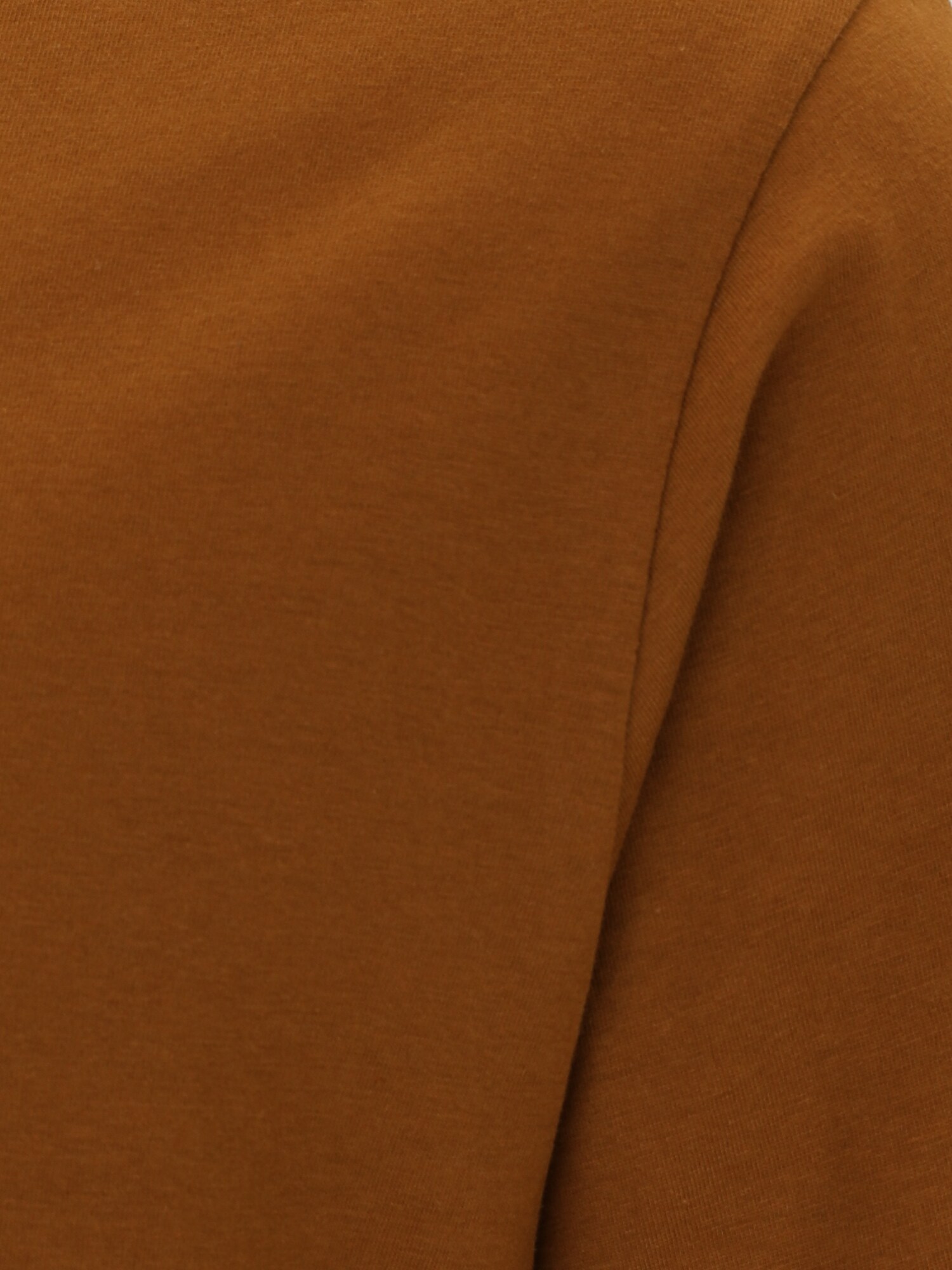 Jack & Jones Plus Tričko 'JJEBRADLEY' koňaková (obrázok 3)