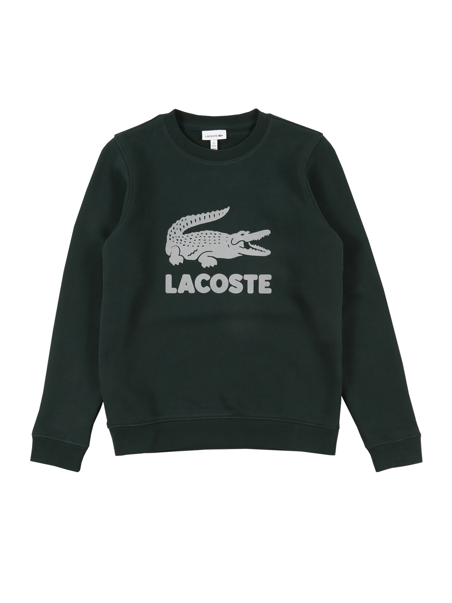 LACOSTE Megztinis be užsegimo  tamsiai žalia / pilka