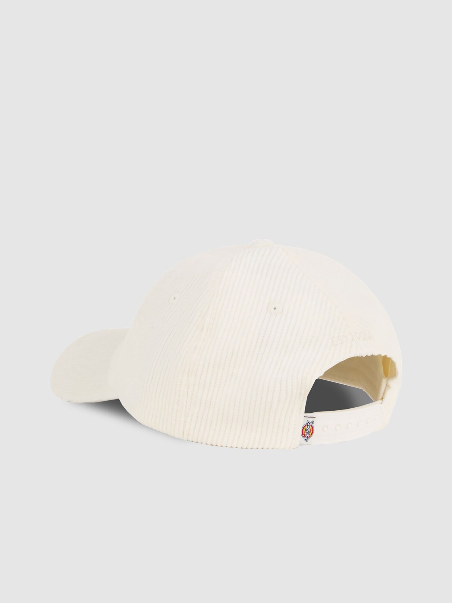 DICKIES Sapkák 'HARDWICK'  bézs termék 2. képe