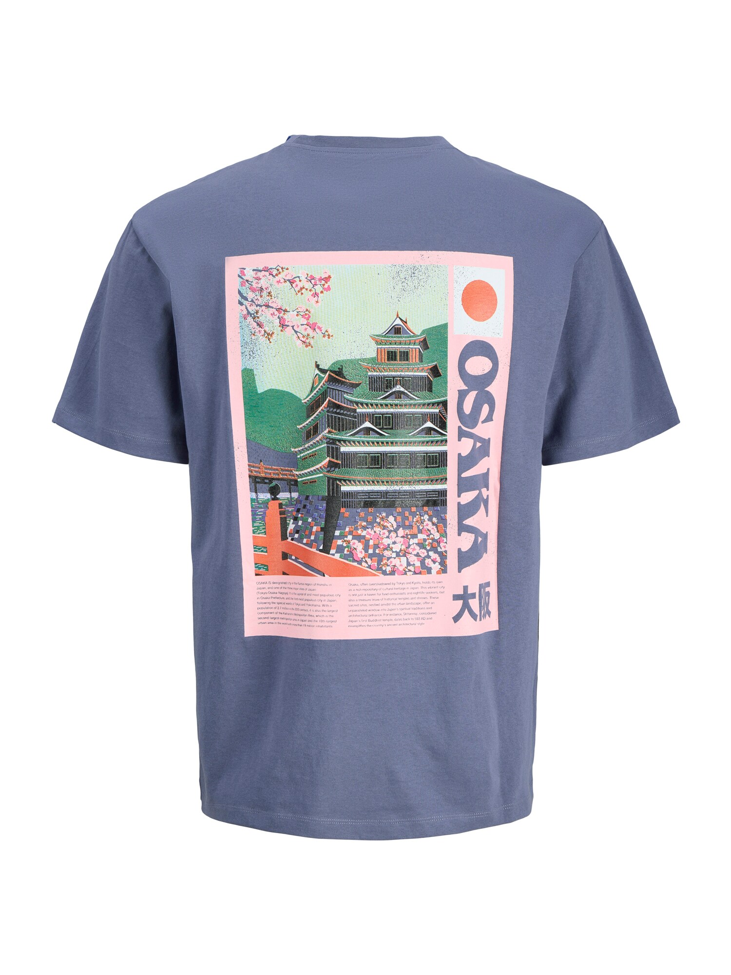 Jack & Jones Plus Póló 'JOROSAKA'  éjkék / fűzöld / narancs / világos-rózsaszín termék 2. képe