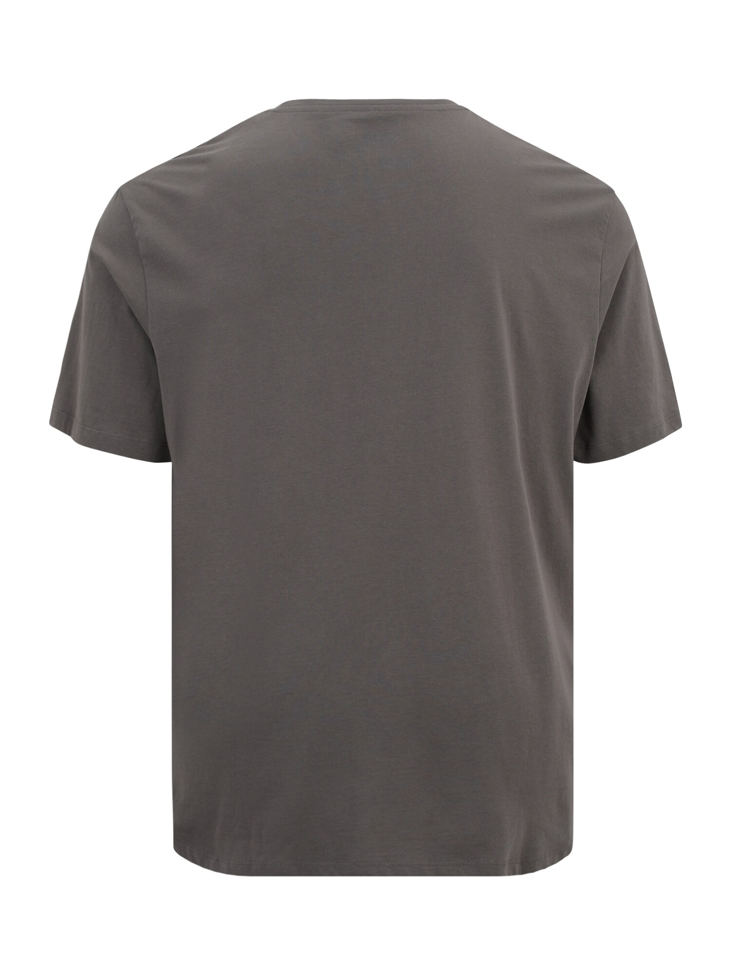 Jack & Jones Plus Póló  citromsárga / sötétszürke / fekete termék 2. képe