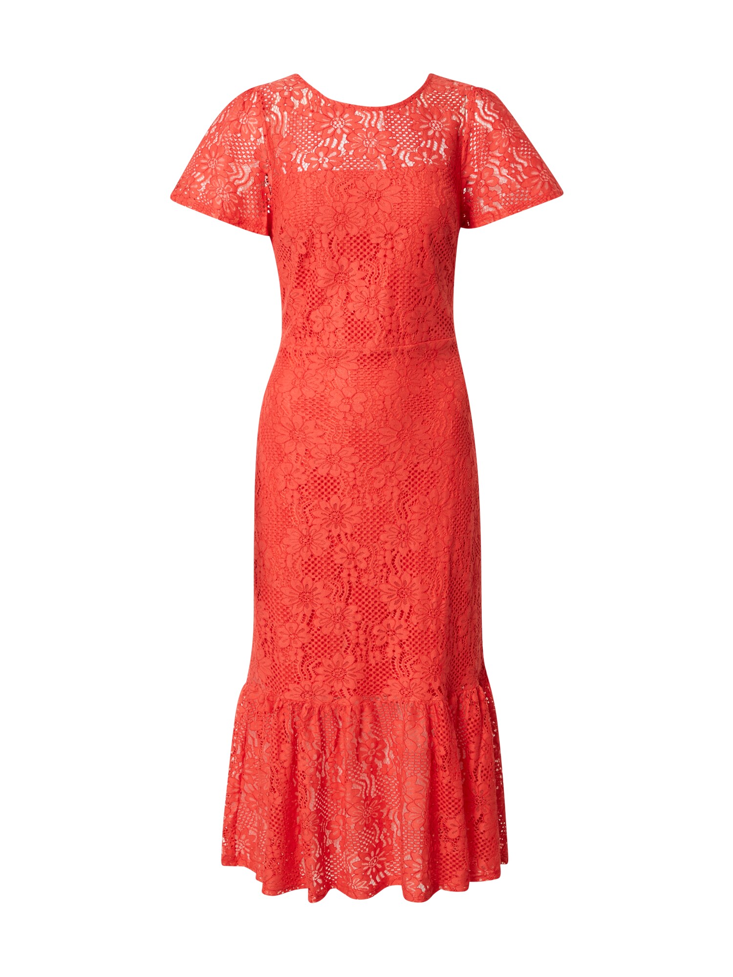 Dorothy Perkins Suknelė  koralų splava
