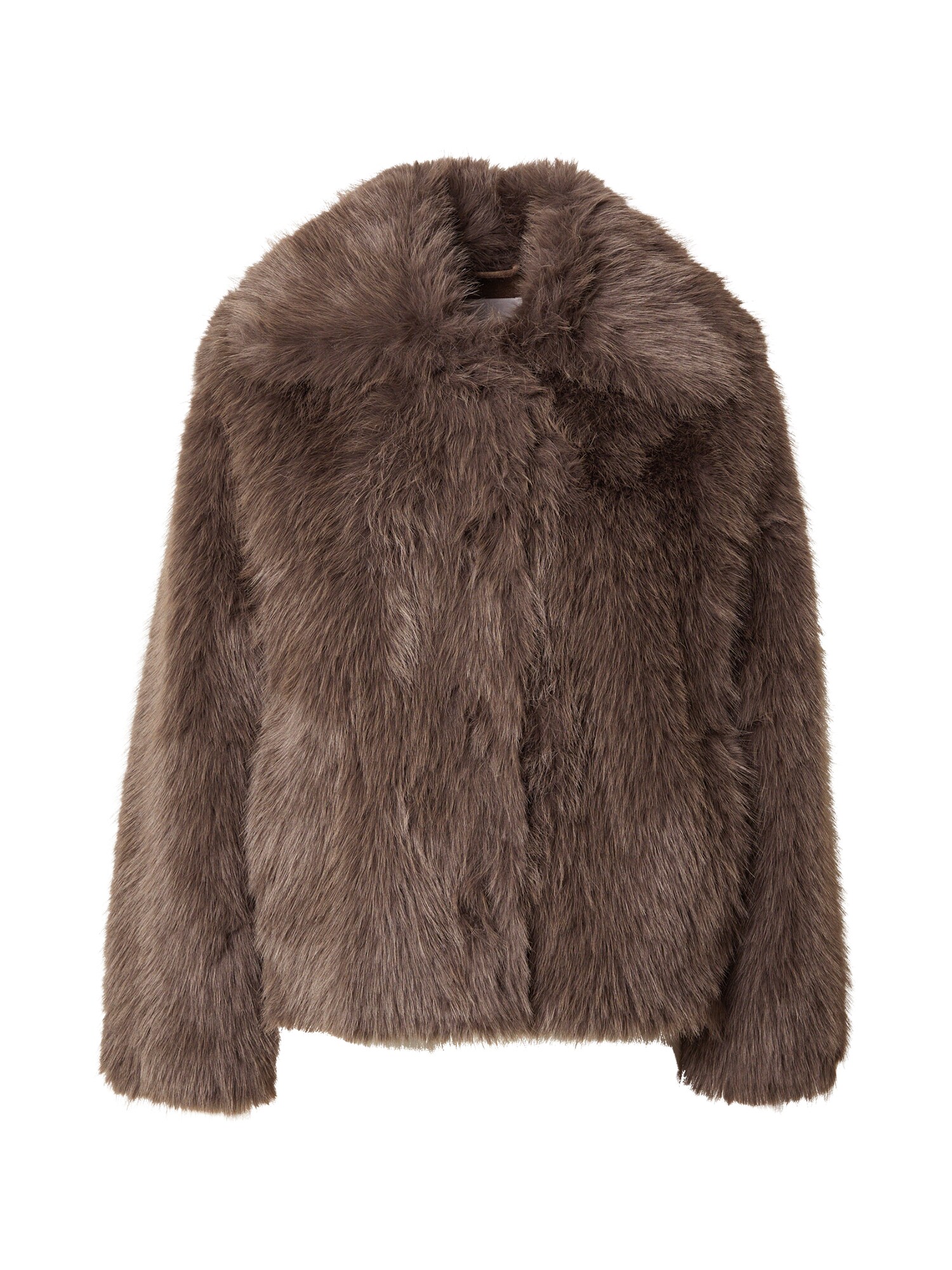 co'couture Giacca invernale 'Kita'  marrone scuro