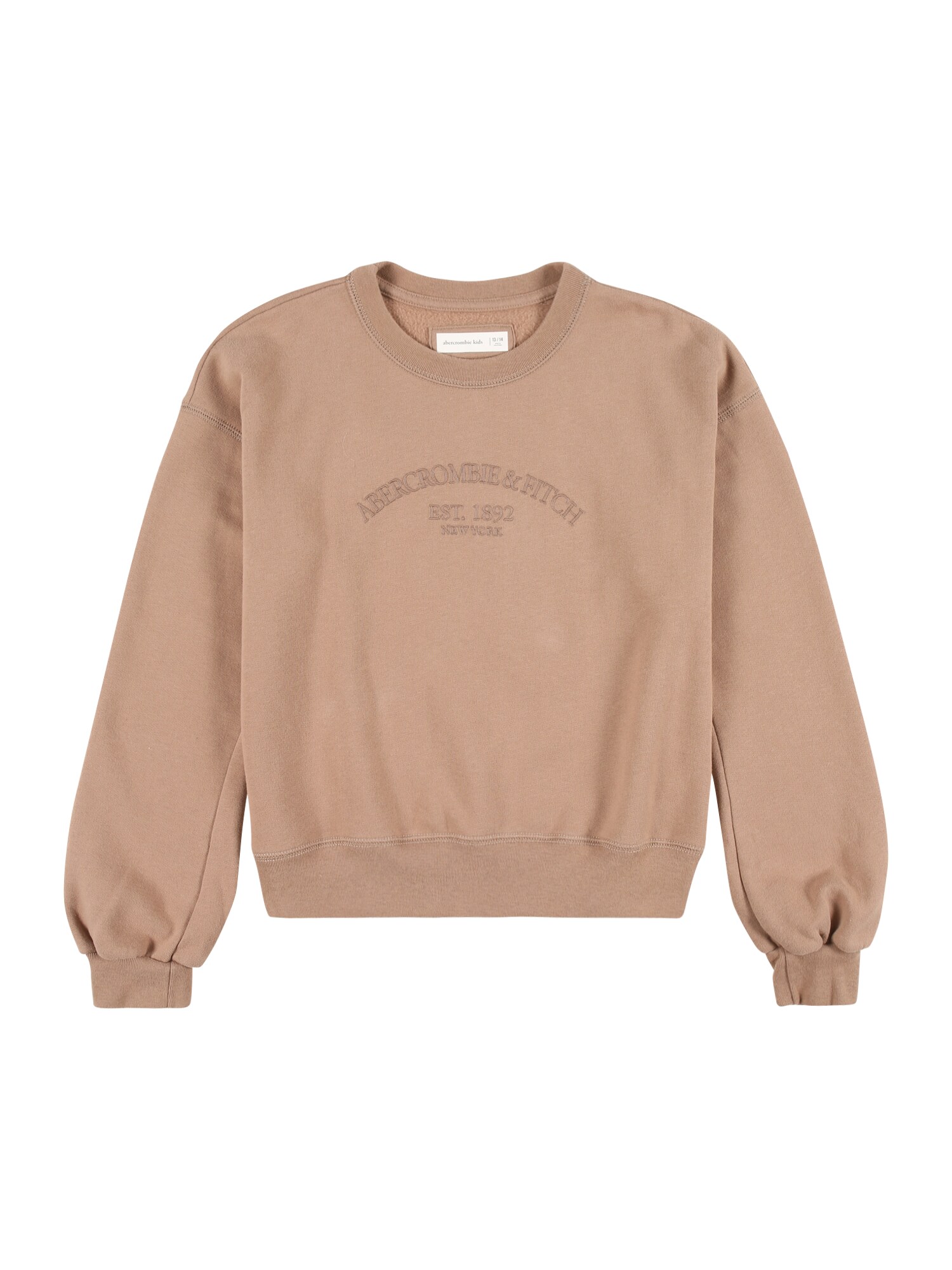 Abercrombie & Fitch Sweater majica  smeđa