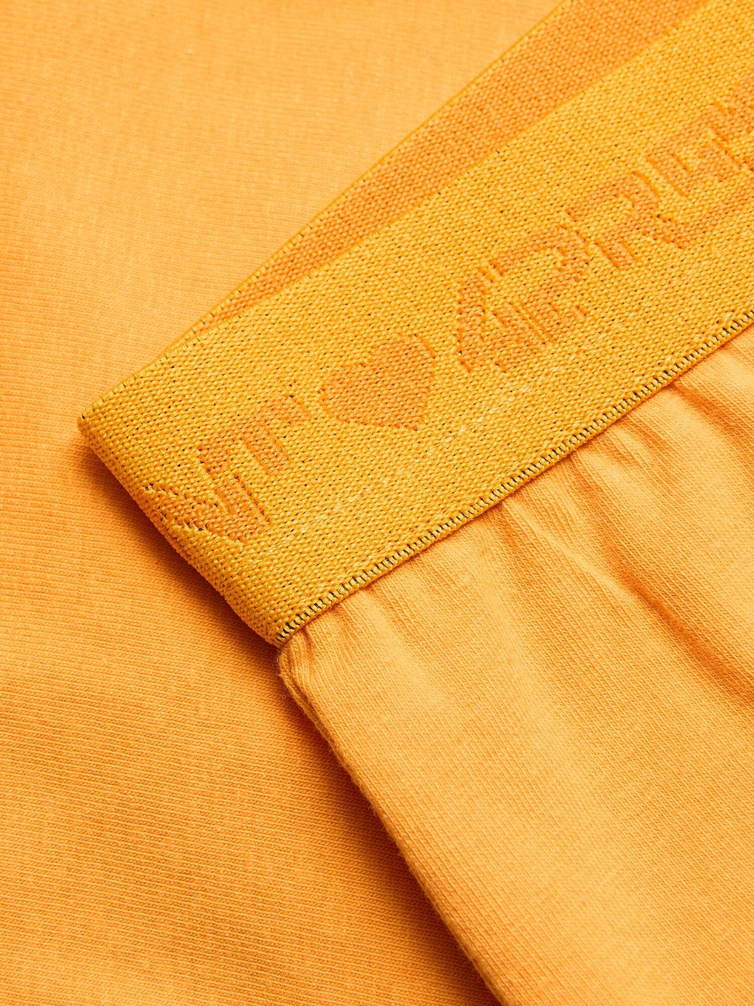 Thumbnail - 4PRESIDENT Hose Nomi