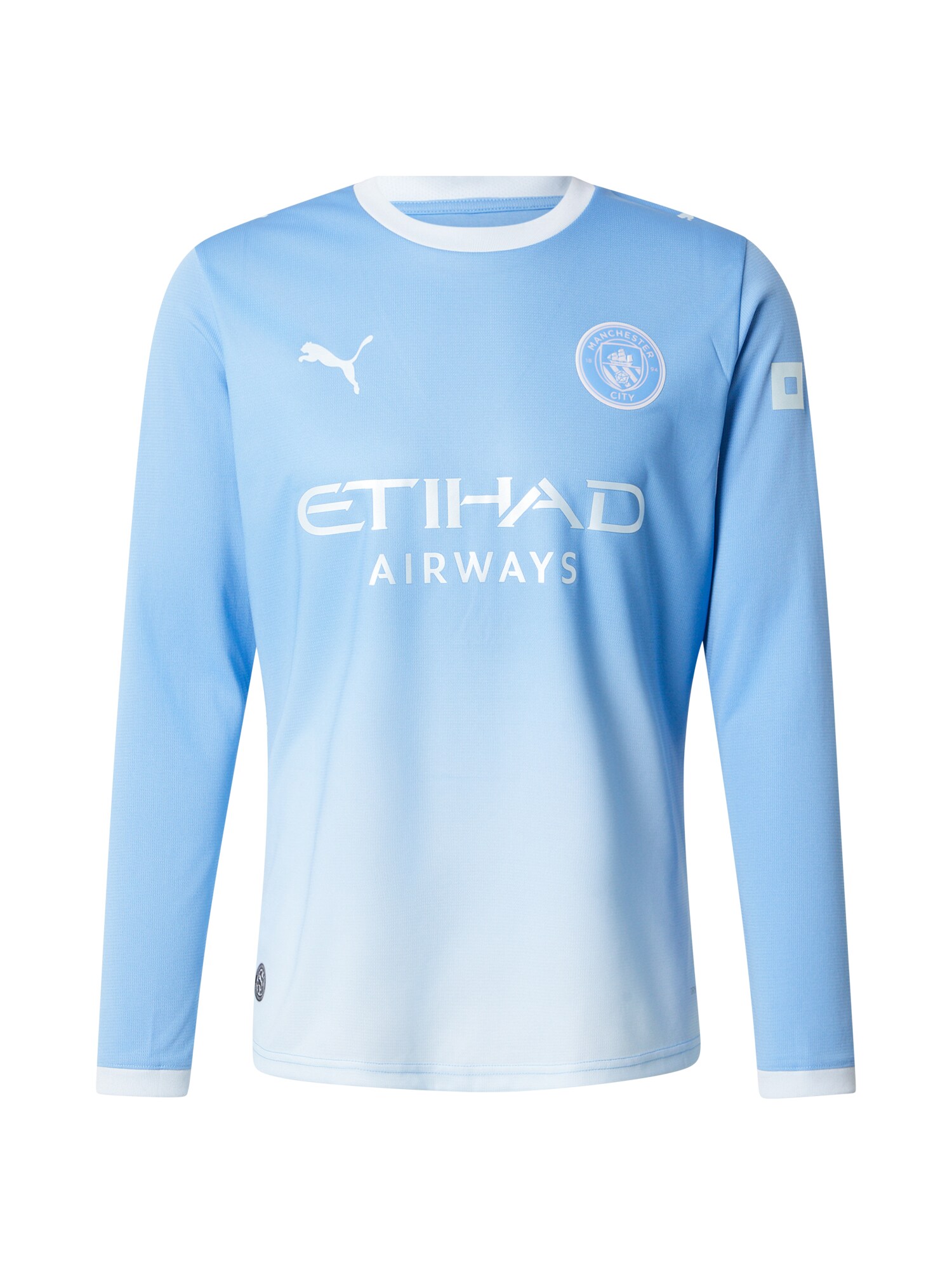 PUMA Camiseta de fútbol 'MCFC Home' azul pastel / azul claro / blanco