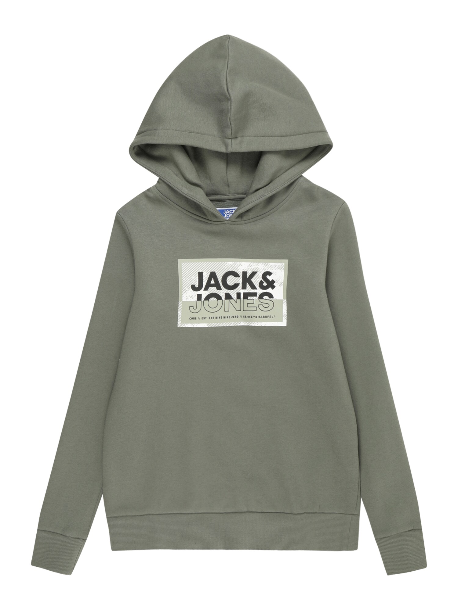 Jack & Jones Junior Mikina 'JCOLogan'  olivová / pastelovo zelená / čierna / biela