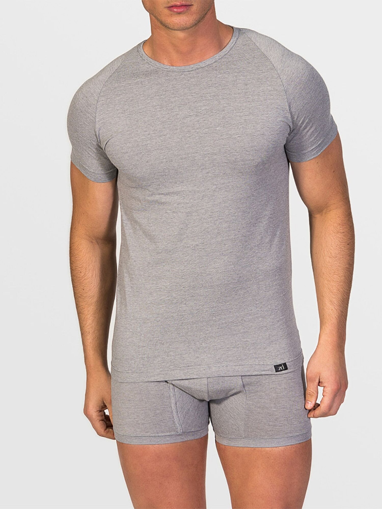 zd ZERO DEFECTS Maglietta intima 'Crew-neck T-shirt Egiptian cotton'  grigio