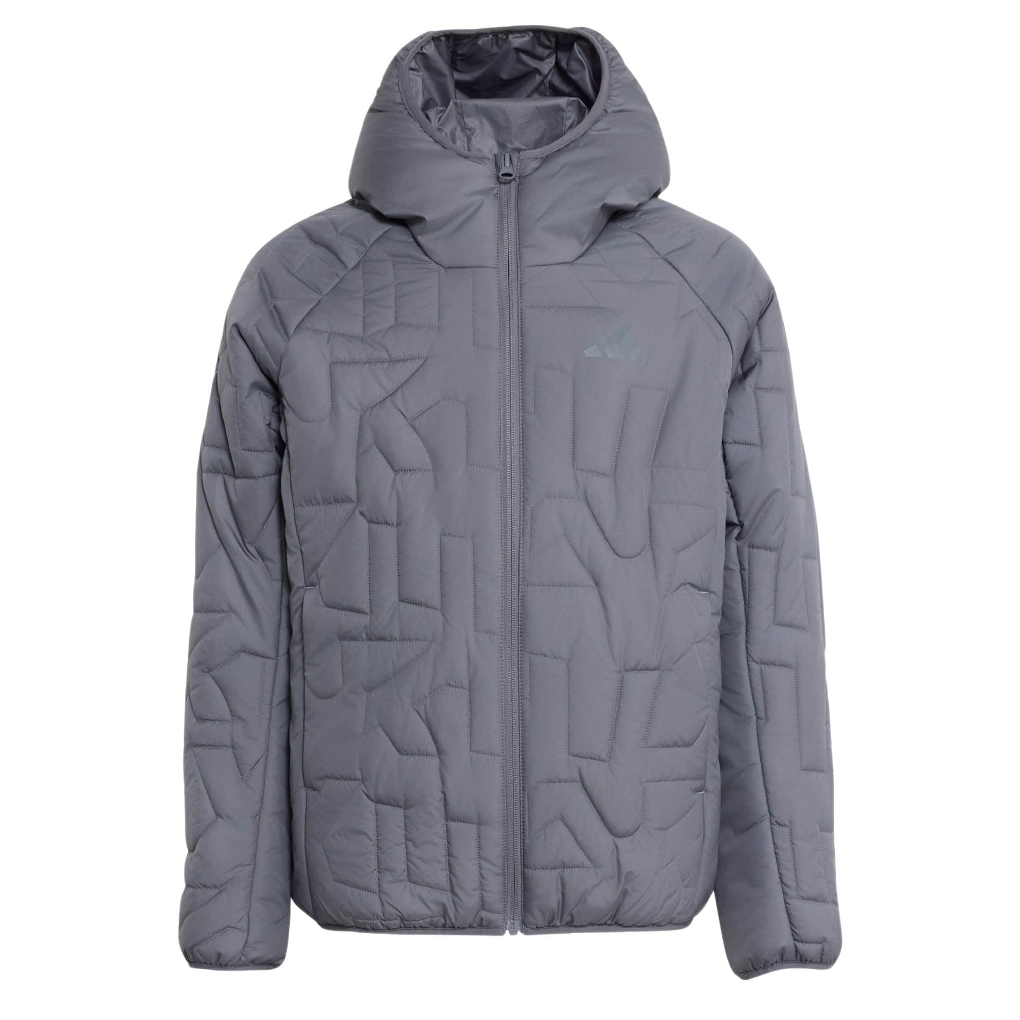 ADIDAS TERREX Geacă outdoor Xperior gri