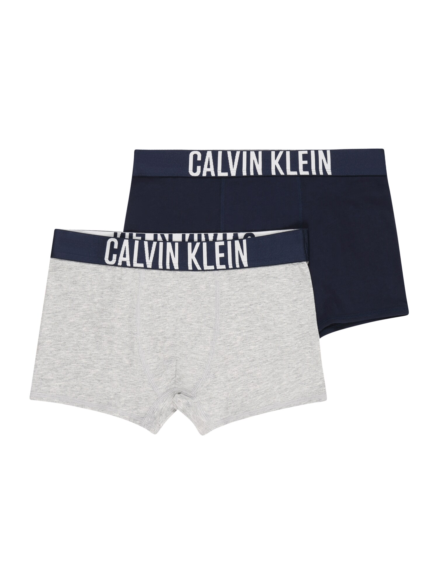 Calvin Klein Underwear Apatinės kelnaitės 'Intense Power' margai pilka / tamsiai mėlyna / balta