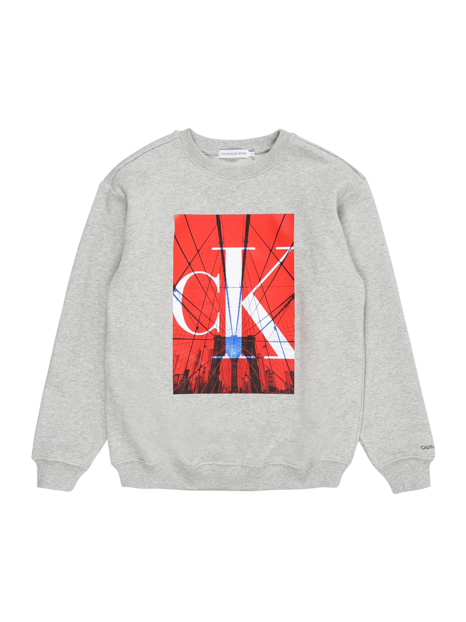 Calvin Klein Jeans Megztinis be užsegimo  šviesiai pilka / raudona / juoda / sodri mėlyna („karališka“)