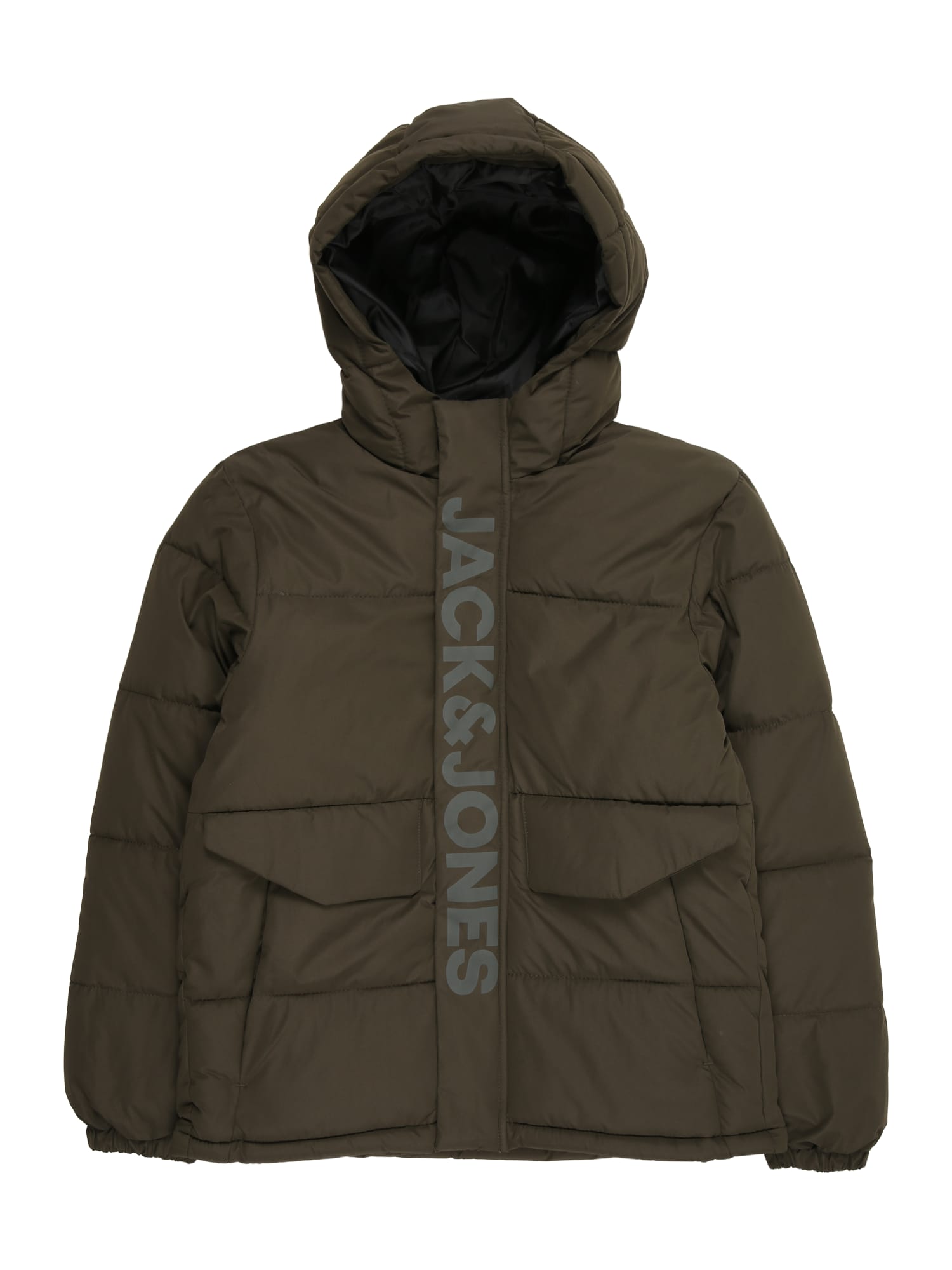 Jack & Jones Junior Geacă de iarnă 'JCOSpeed'  gri deschis / verde