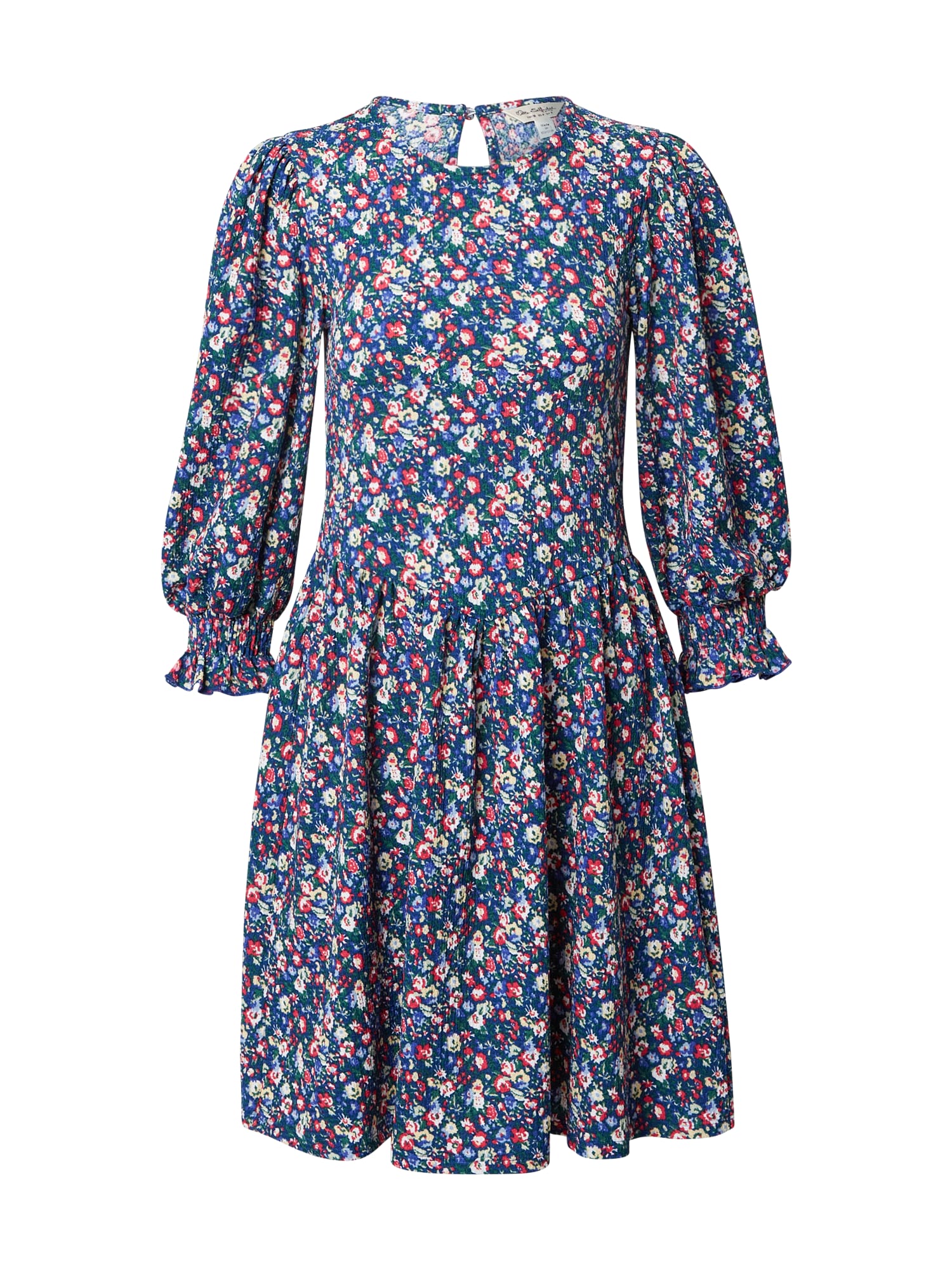 Miss Selfridge Vasarinė suknelė 'DITSY' mėlyna / mišrios spalvos