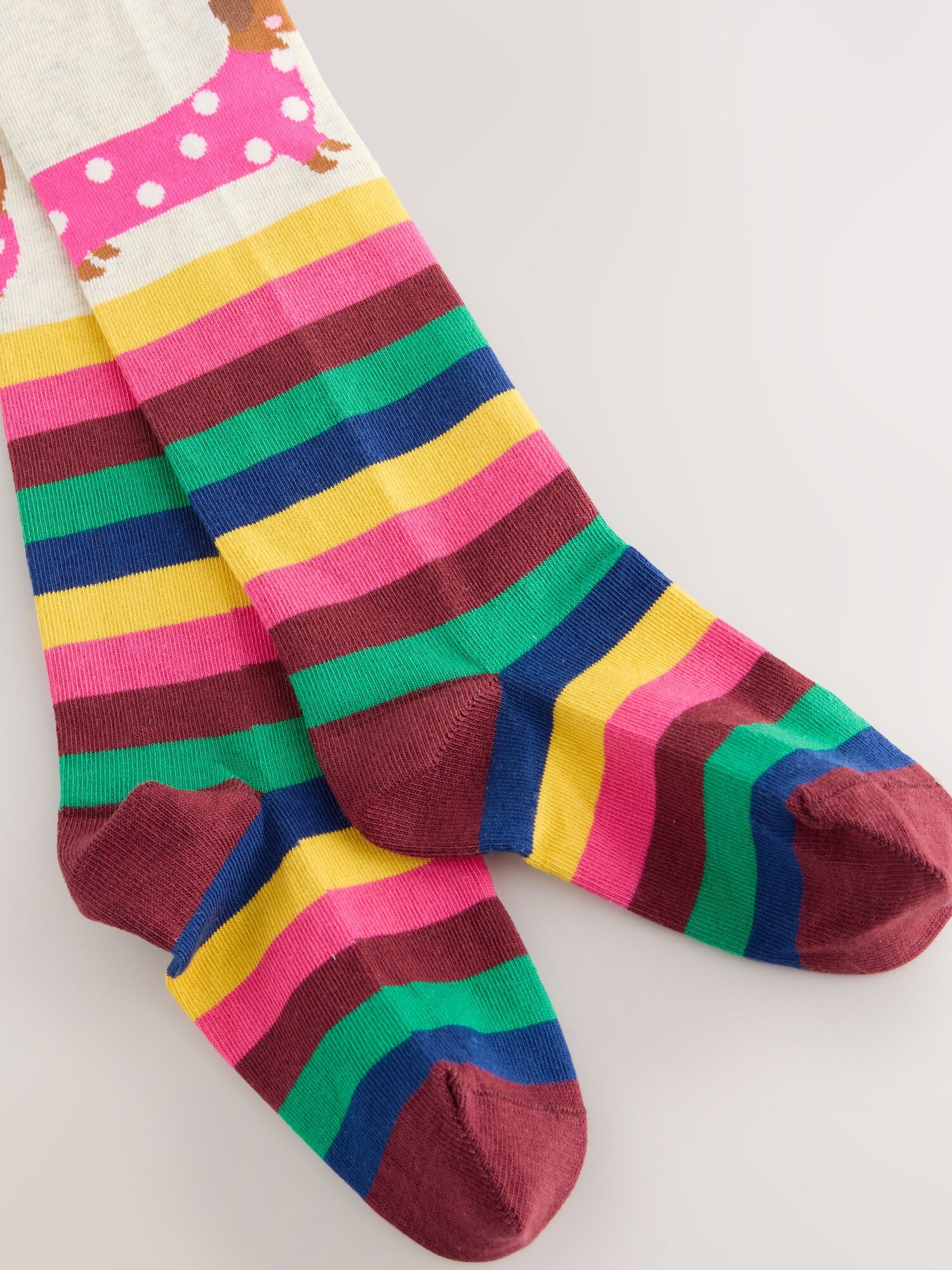 Thumbnail - Next Strumpfhose Rich Dog Character