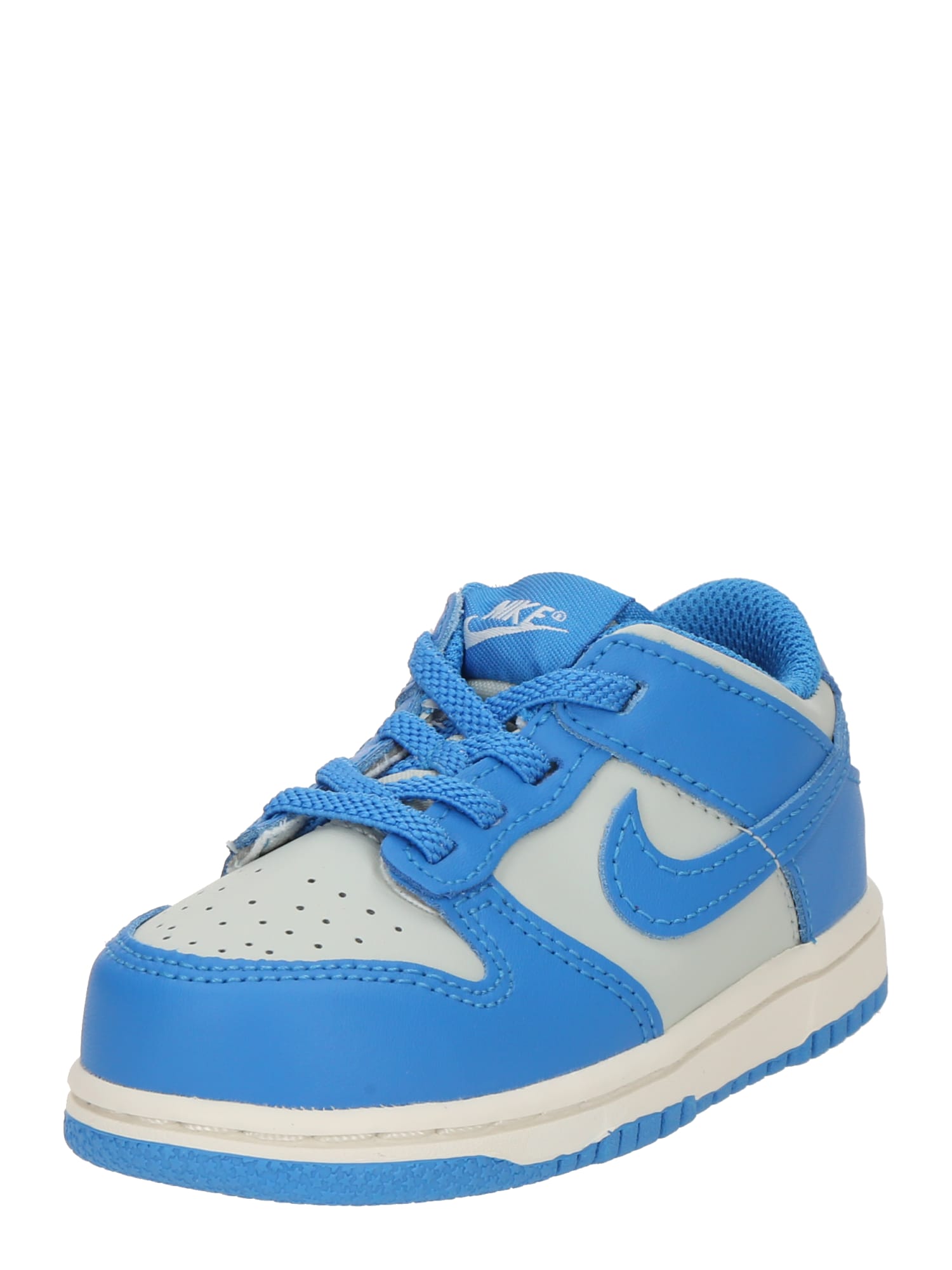 Nike Sportswear Sneaker Dunk  albastru / alb