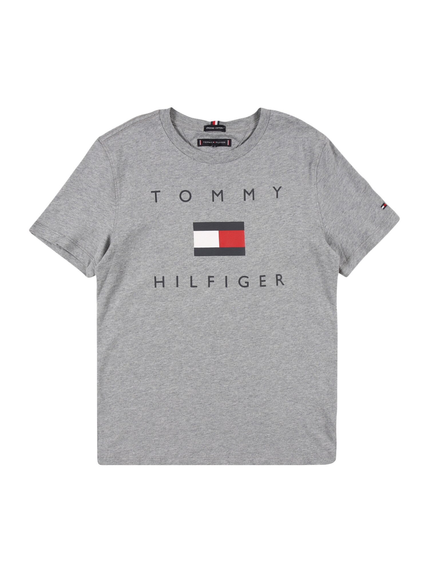 TOMMY HILFIGER Marškinėliai  pilka / tamsiai mėlyna / balta / ugnies raudona