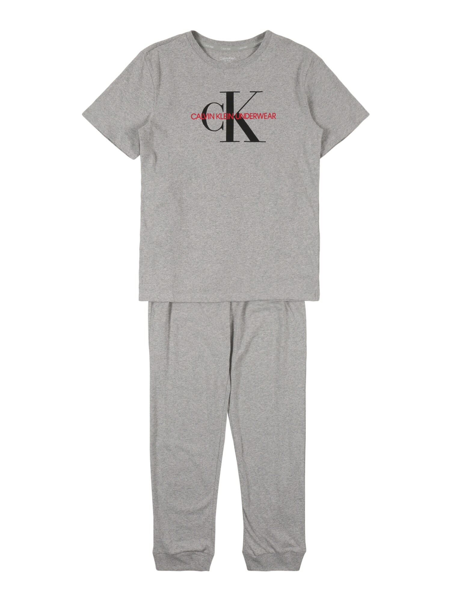 Calvin Klein Underwear Miego kostiumas  margai pilka / juoda / granatų spalva