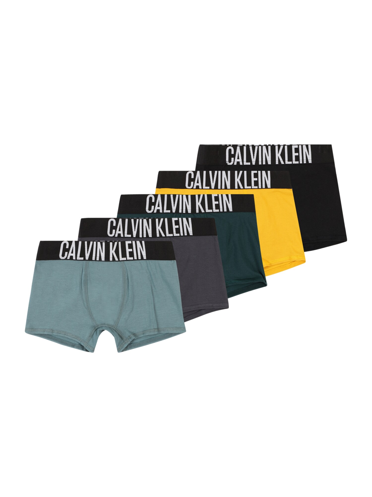 Calvin Klein Underwear Nohavičky  modrosivá / žltá / tmavosivá / tmavozelená / čierna